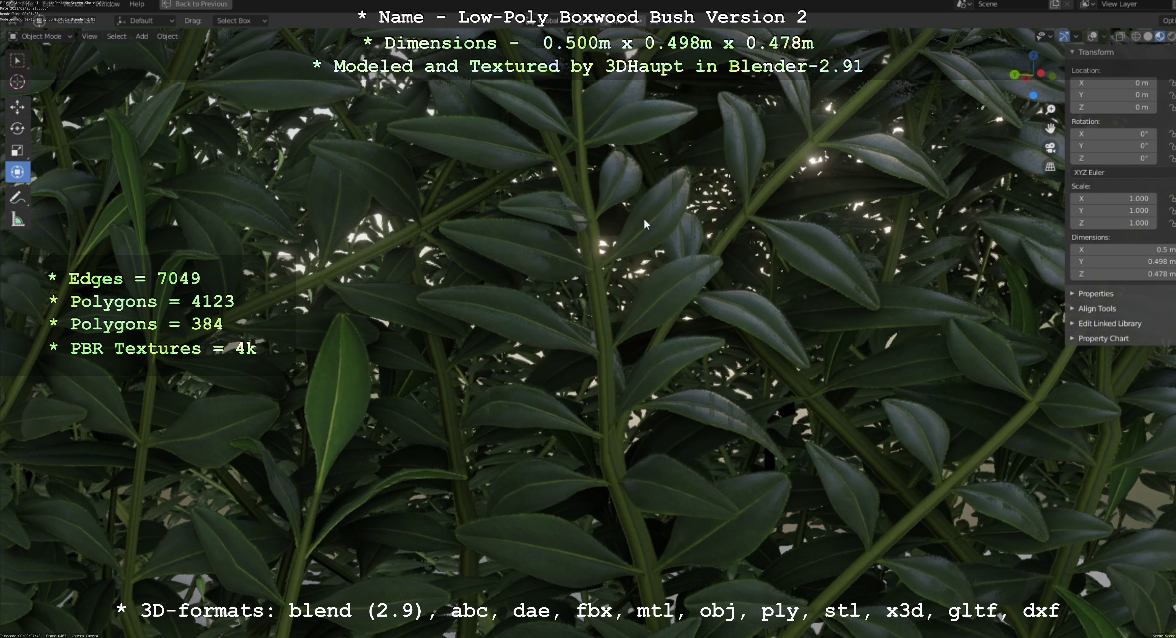 Low-Poly Boxwood Bush Version 2 Low-poly 3D model_69