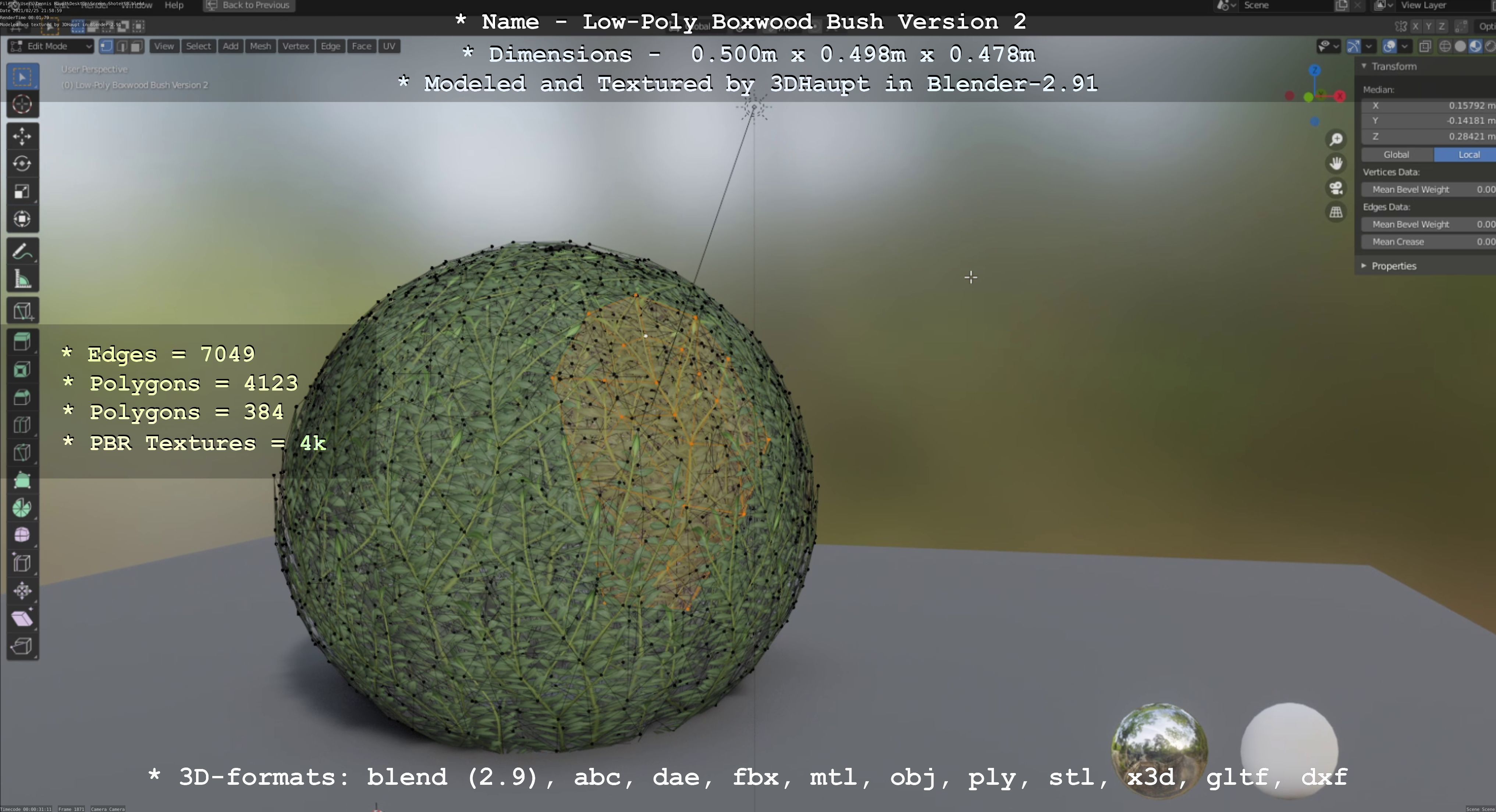 Low-Poly Boxwood Bush Version 2 Low-poly 3D model_105