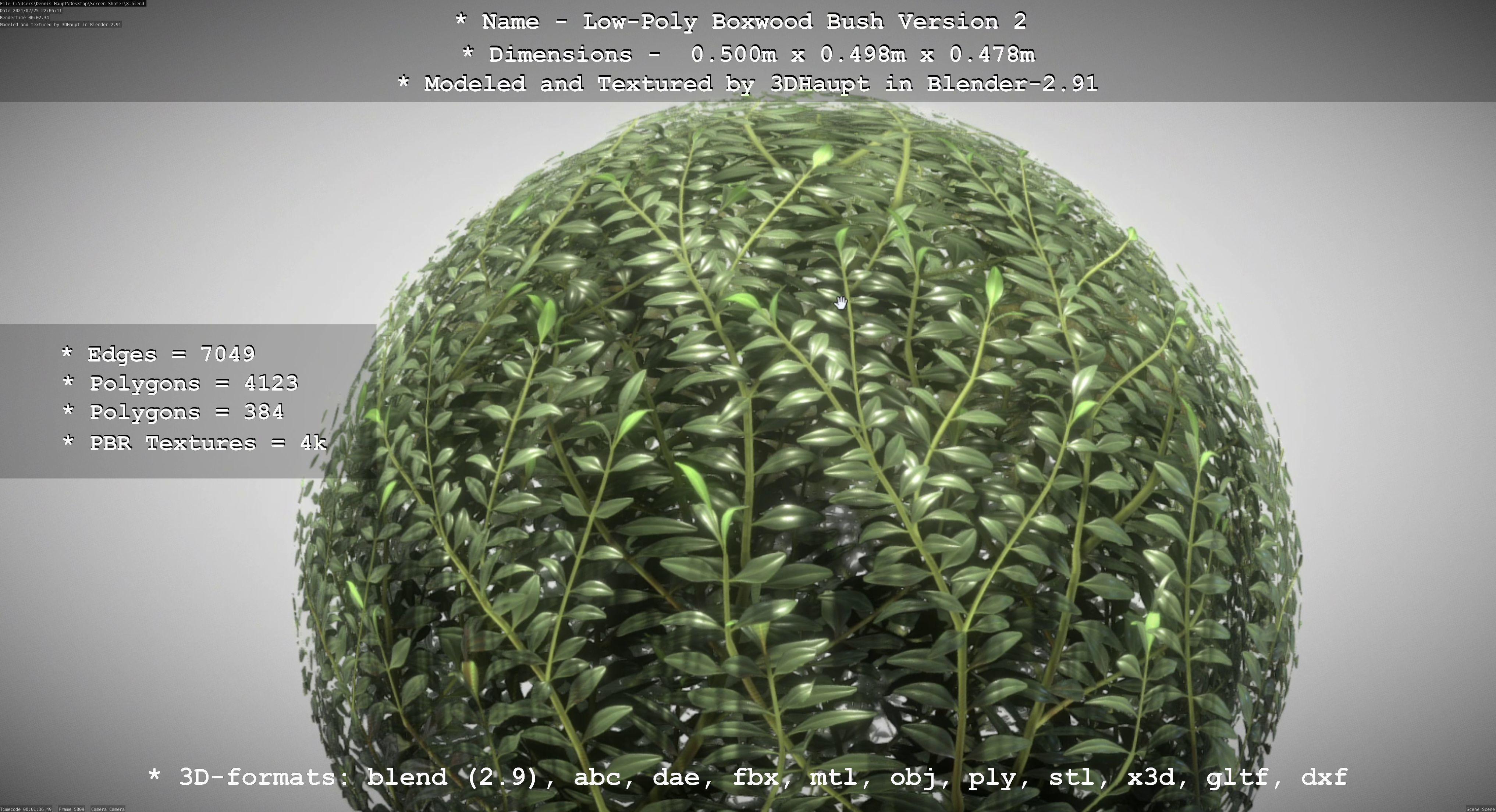 Low-Poly Boxwood Bush Version 2 Low-poly 3D model_45