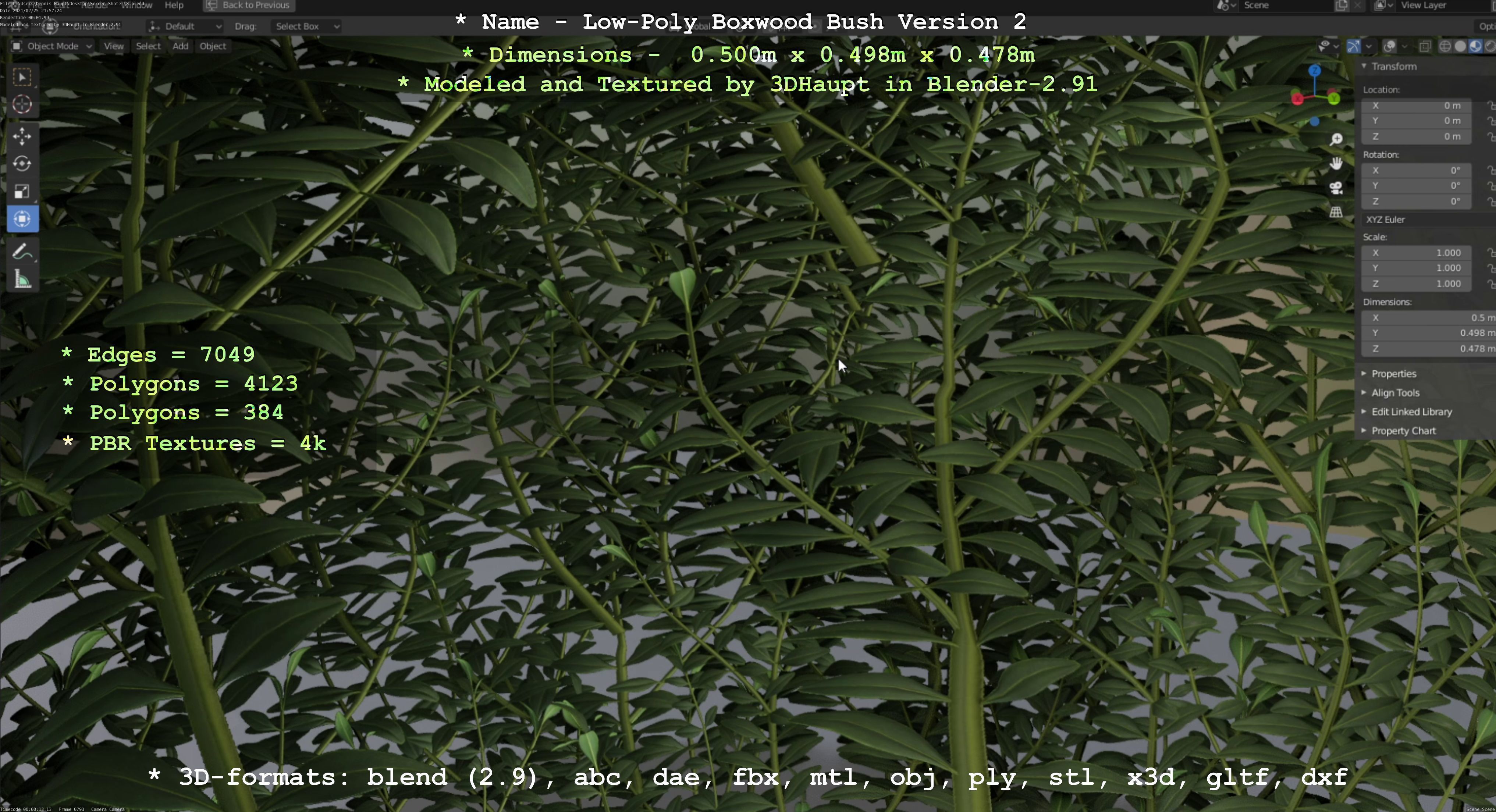 Low-Poly Boxwood Bush Version 2 Low-poly 3D model_78