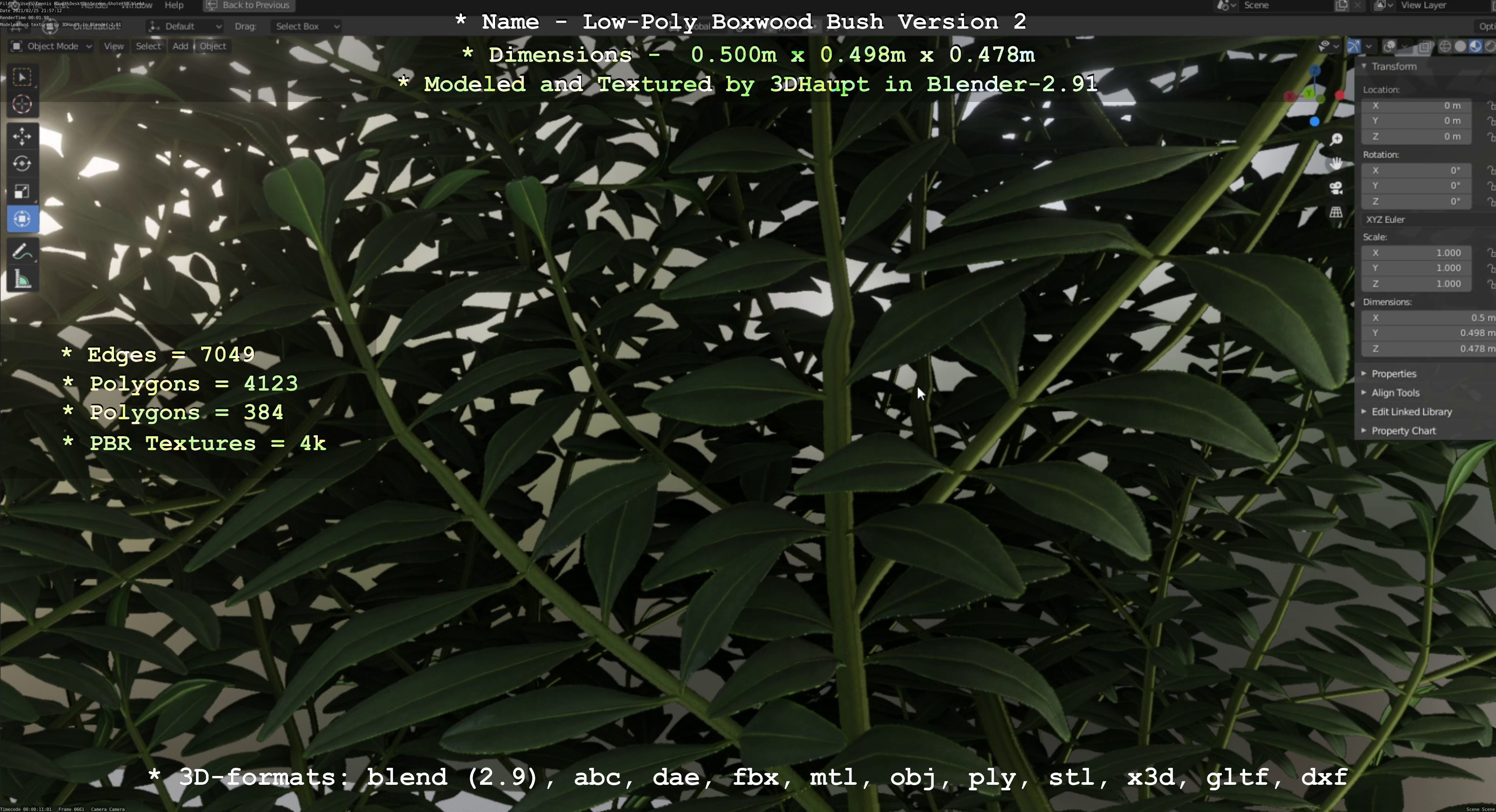 Low-Poly Boxwood Bush Version 2 Low-poly 3D model_74