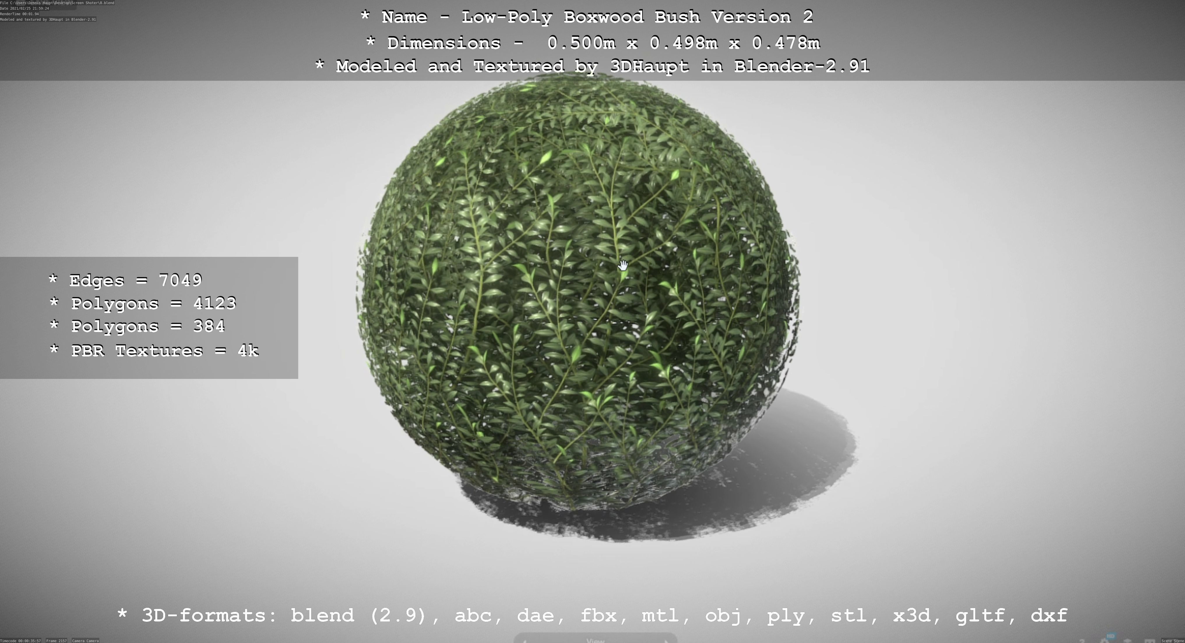 Low-Poly Boxwood Bush Version 2 Low-poly 3D model_111