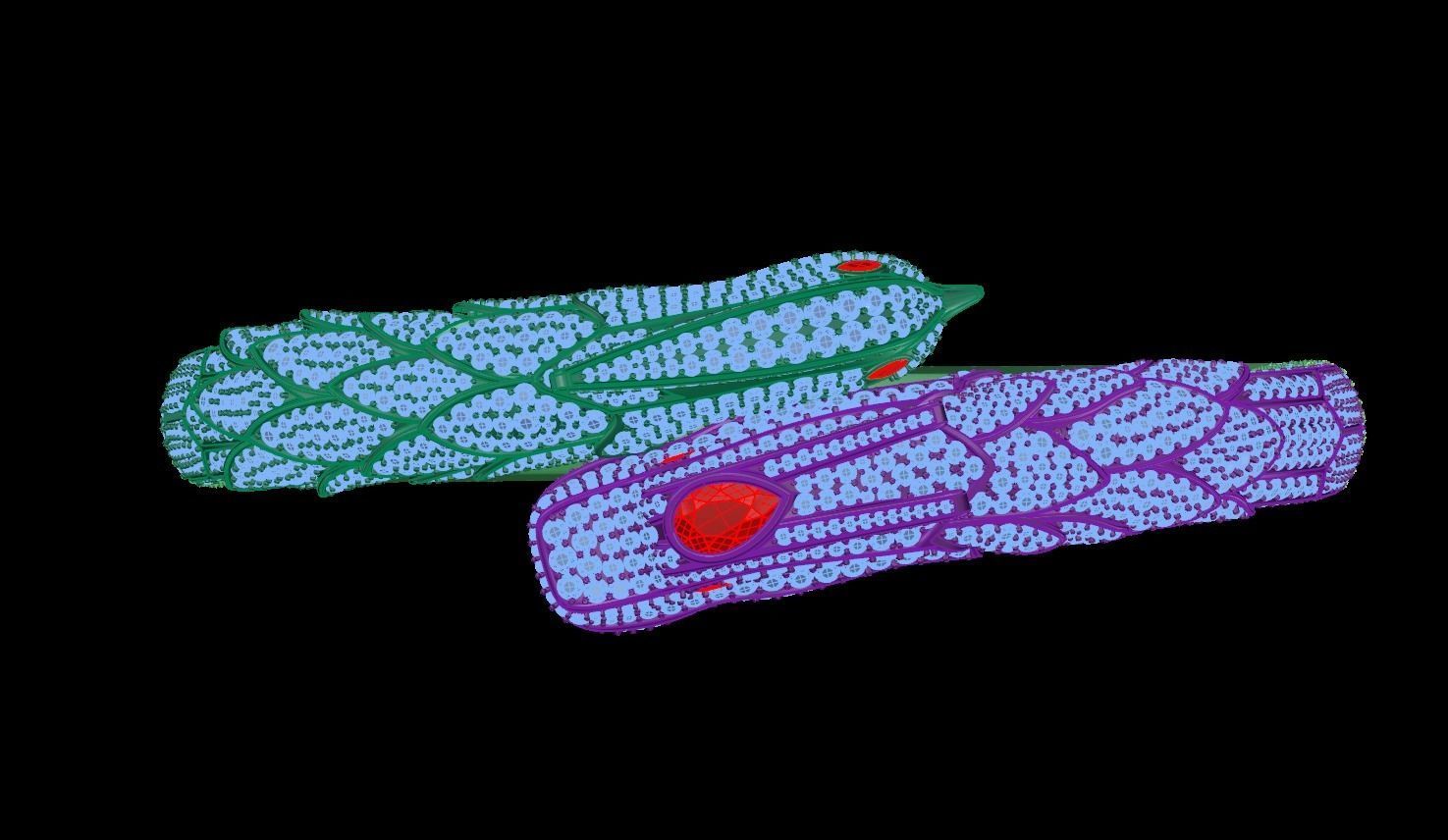 dragon bangle bracelet 3D print model_5