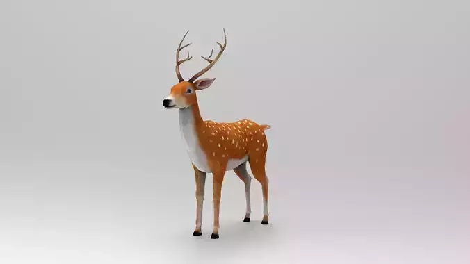 Deer 3d modeling and  Deer 3d model with texture