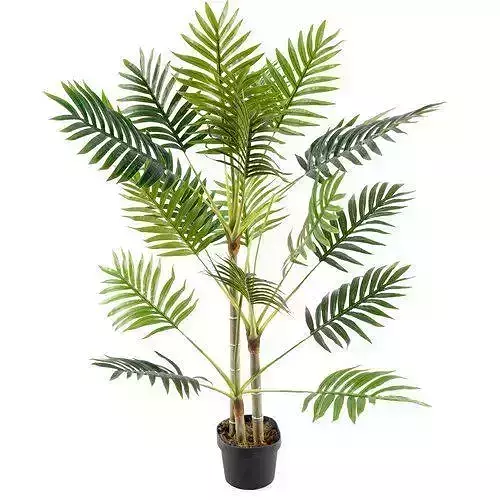 Floor Palm Tree in Pot