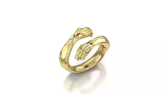 Ring hands 3D print model 