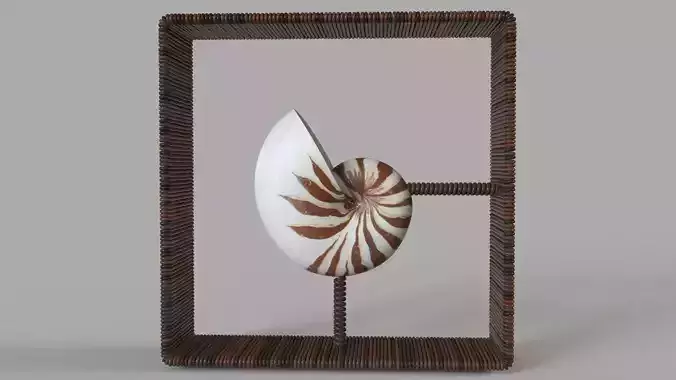 Nautilus Shadowbox