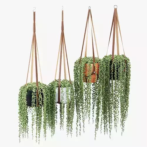 Plant hanger 3D model