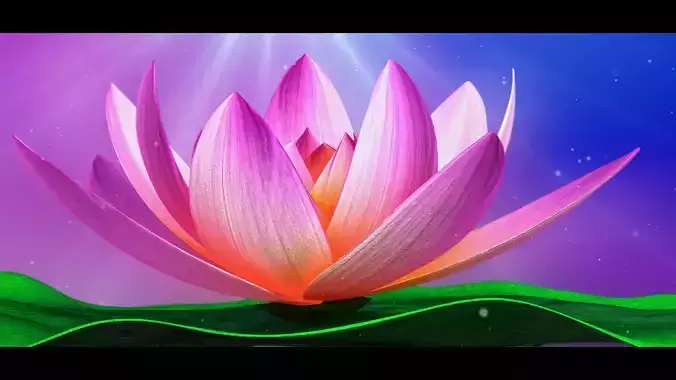 Lotus-Water Lily 3d Animated  3D model