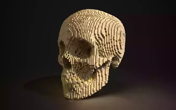 Human Skull