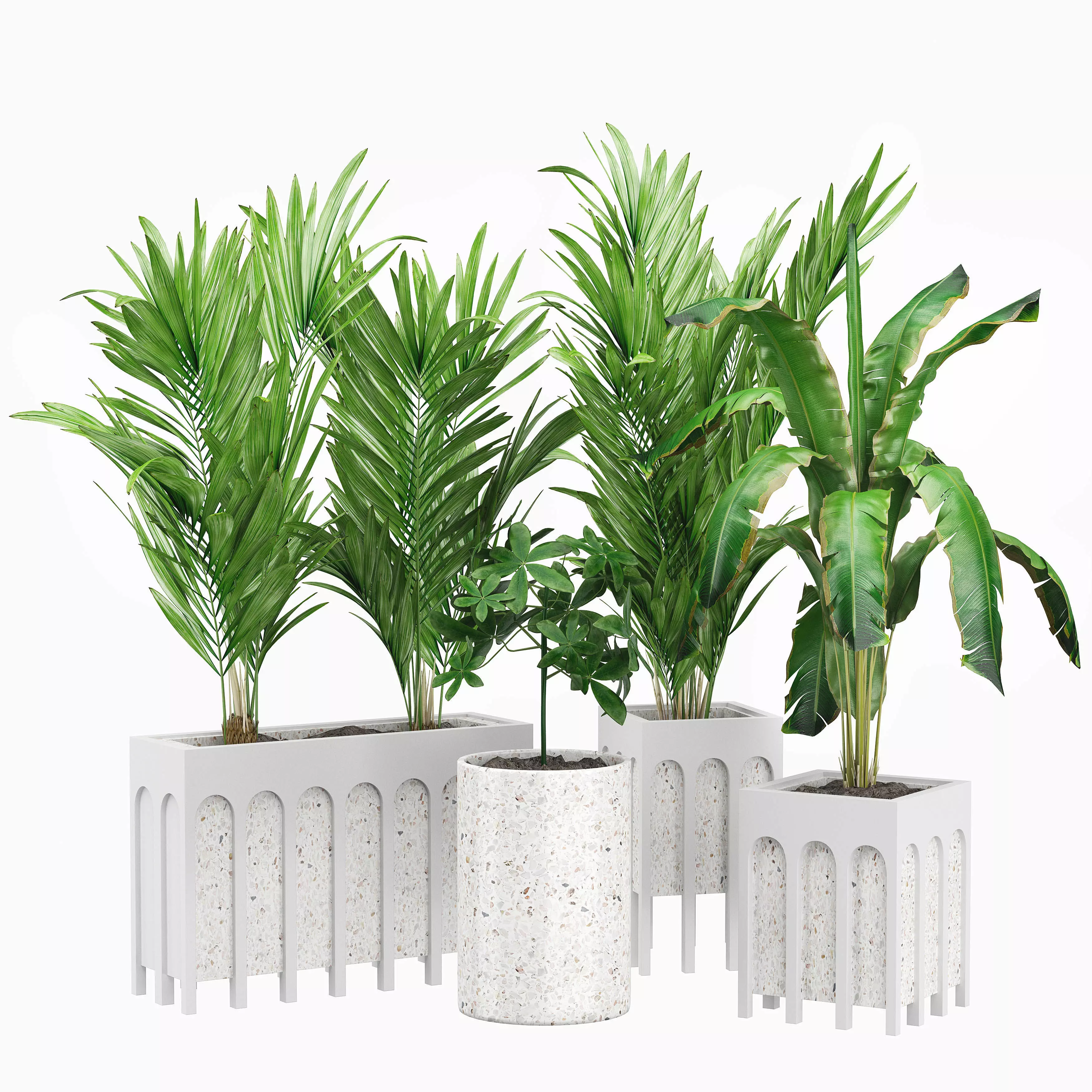 Flower Pack 167 3D model