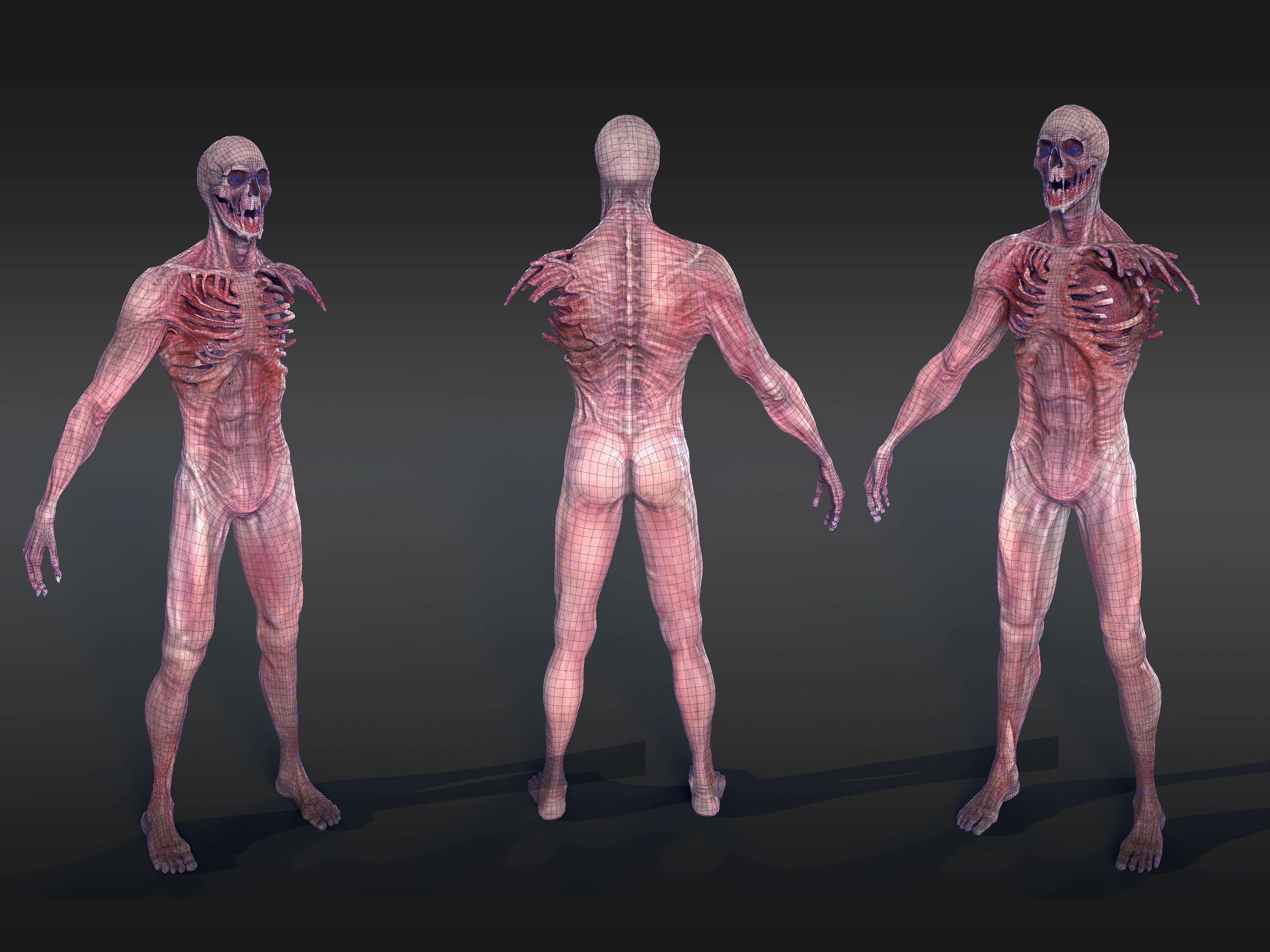 3d character Skeleton Low-poly 3D model_6