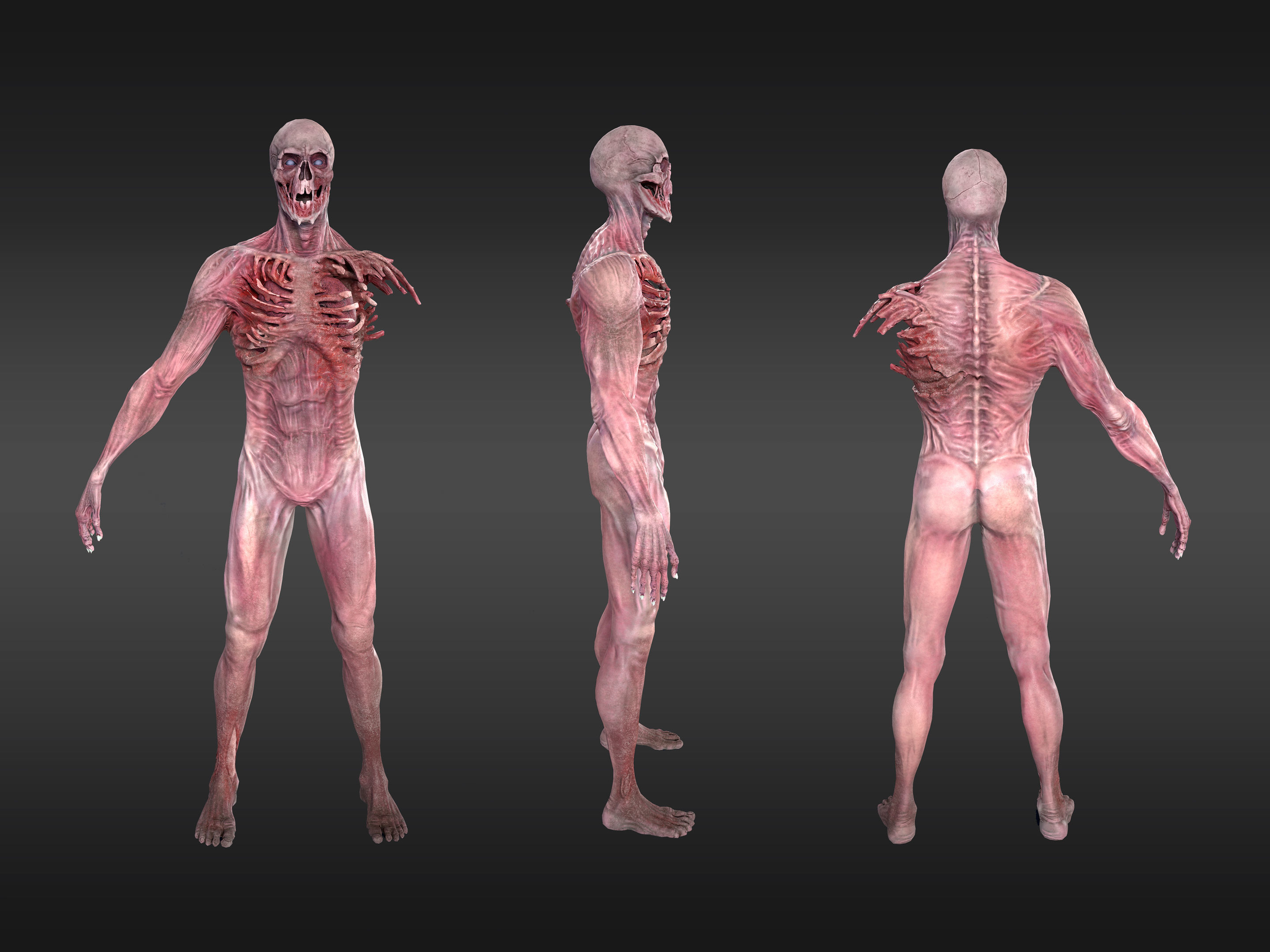 3d character Skeleton Low-poly 3D model_4