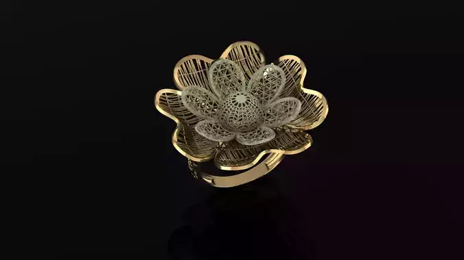  ring gold Jewelery