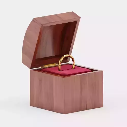 Modern Parametric gold ring