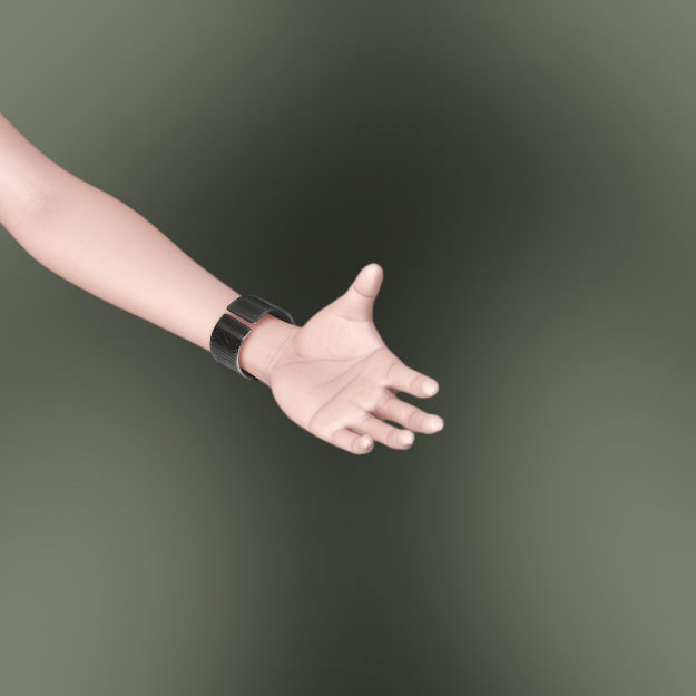 Katz Janderi 3D model_4