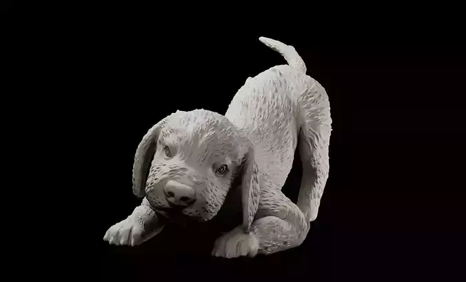 Playful Labrador puppy intended for 3D printing