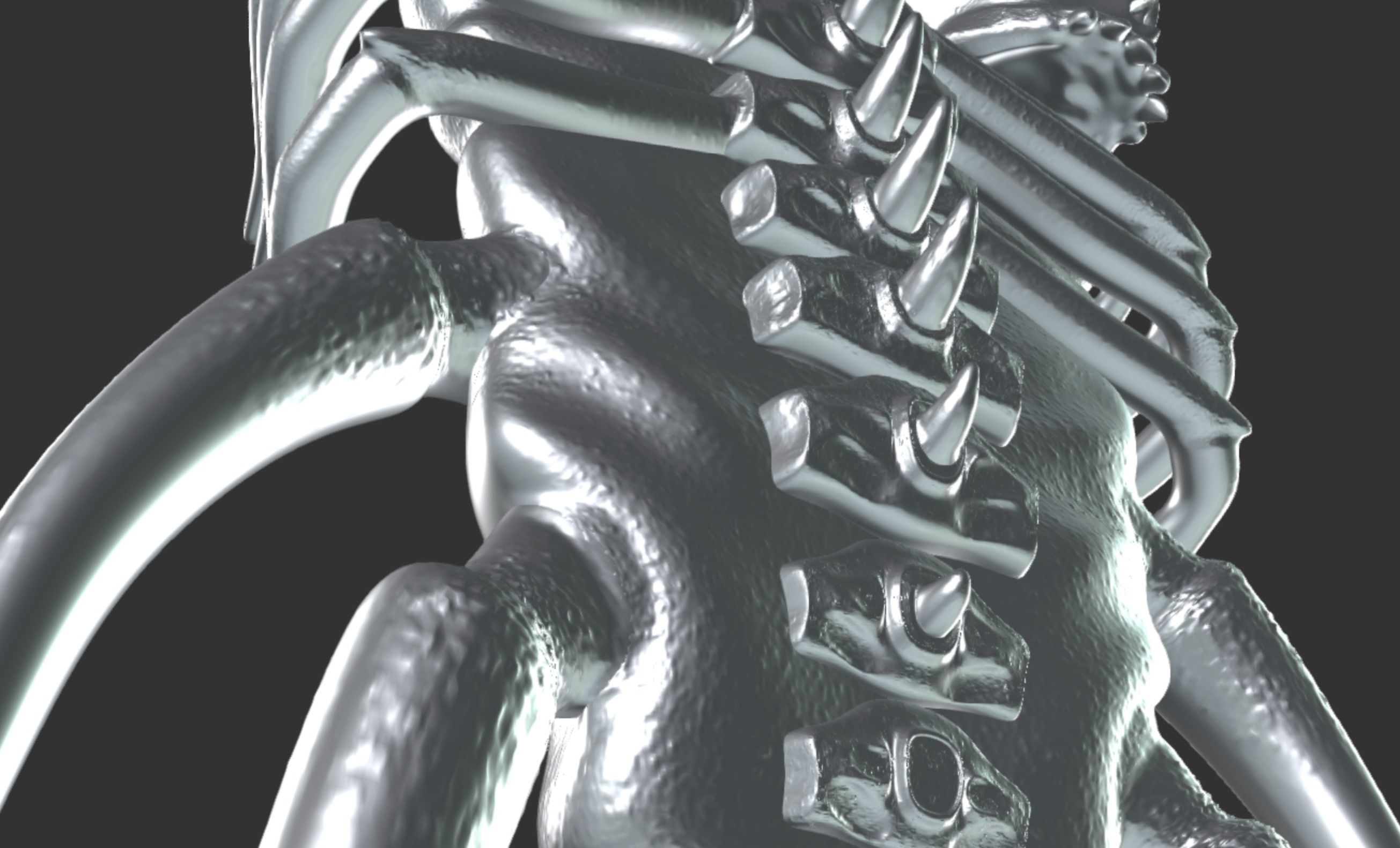 Diablo Bone Shield Necromancer 3D model_5