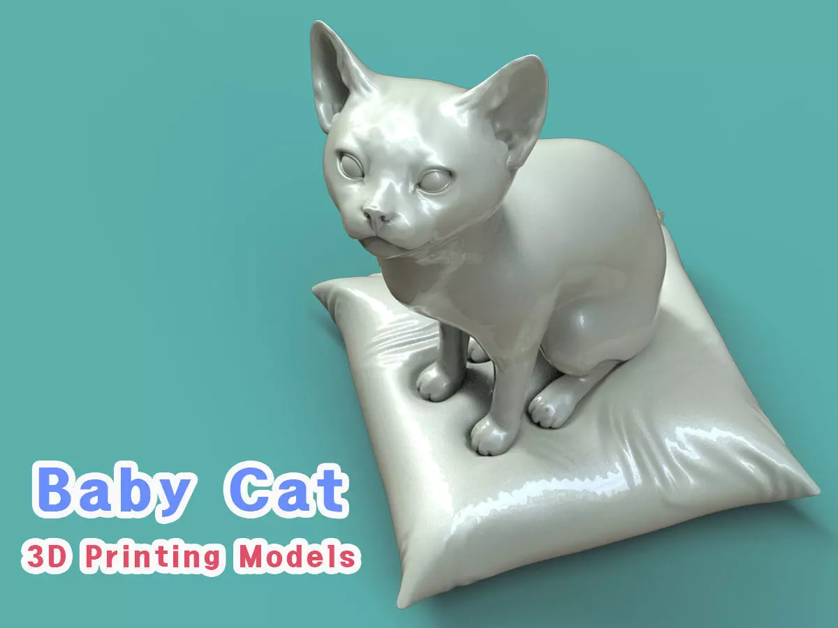 Baby Cat on the cushion 3D print model_0