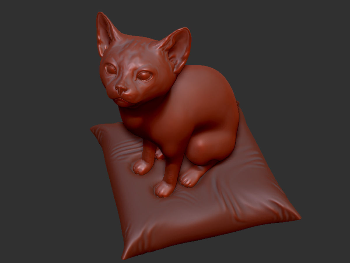 Baby Cat on the cushion 3D print model_7