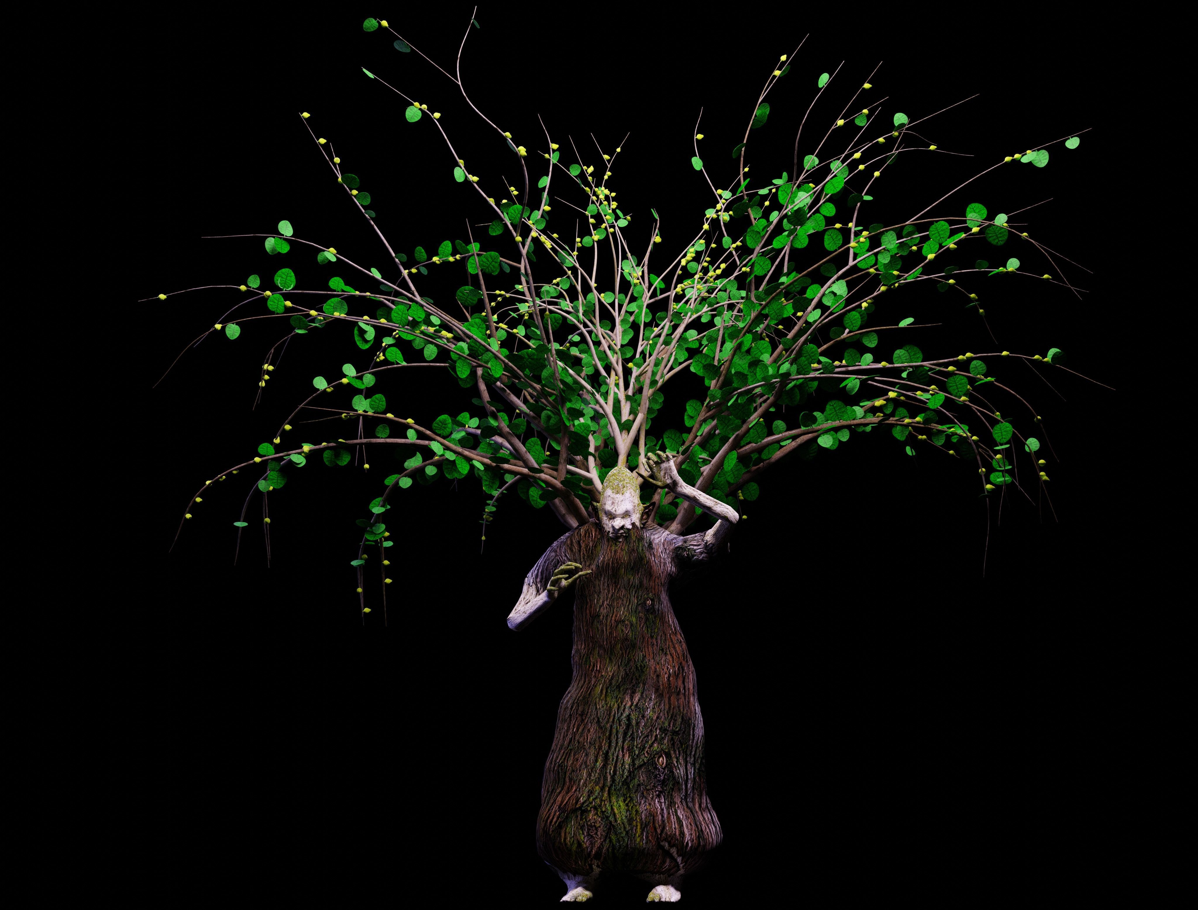 Ent - Drzewiec Low-poly 3D model_5