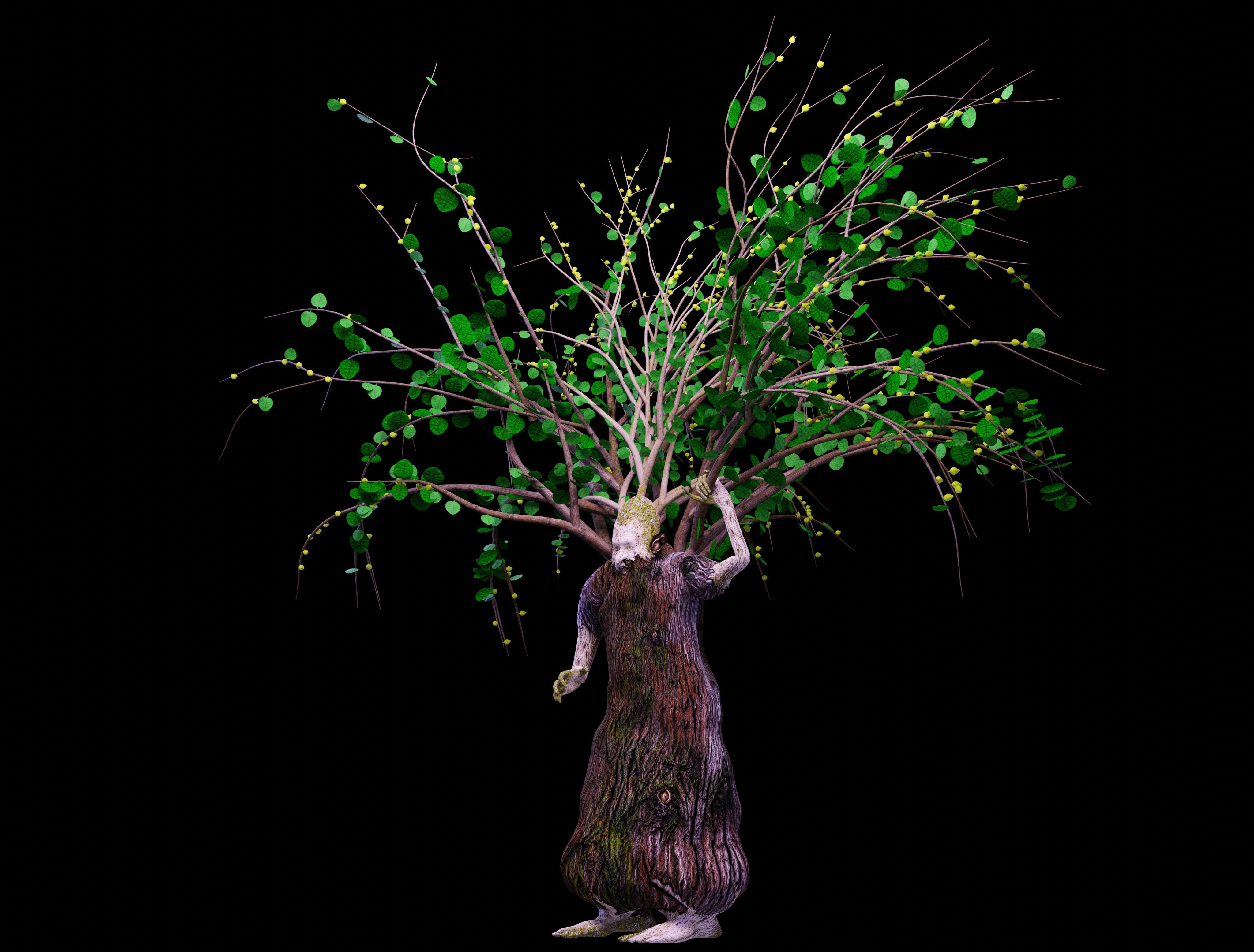 Ent - Drzewiec Low-poly 3D model_3