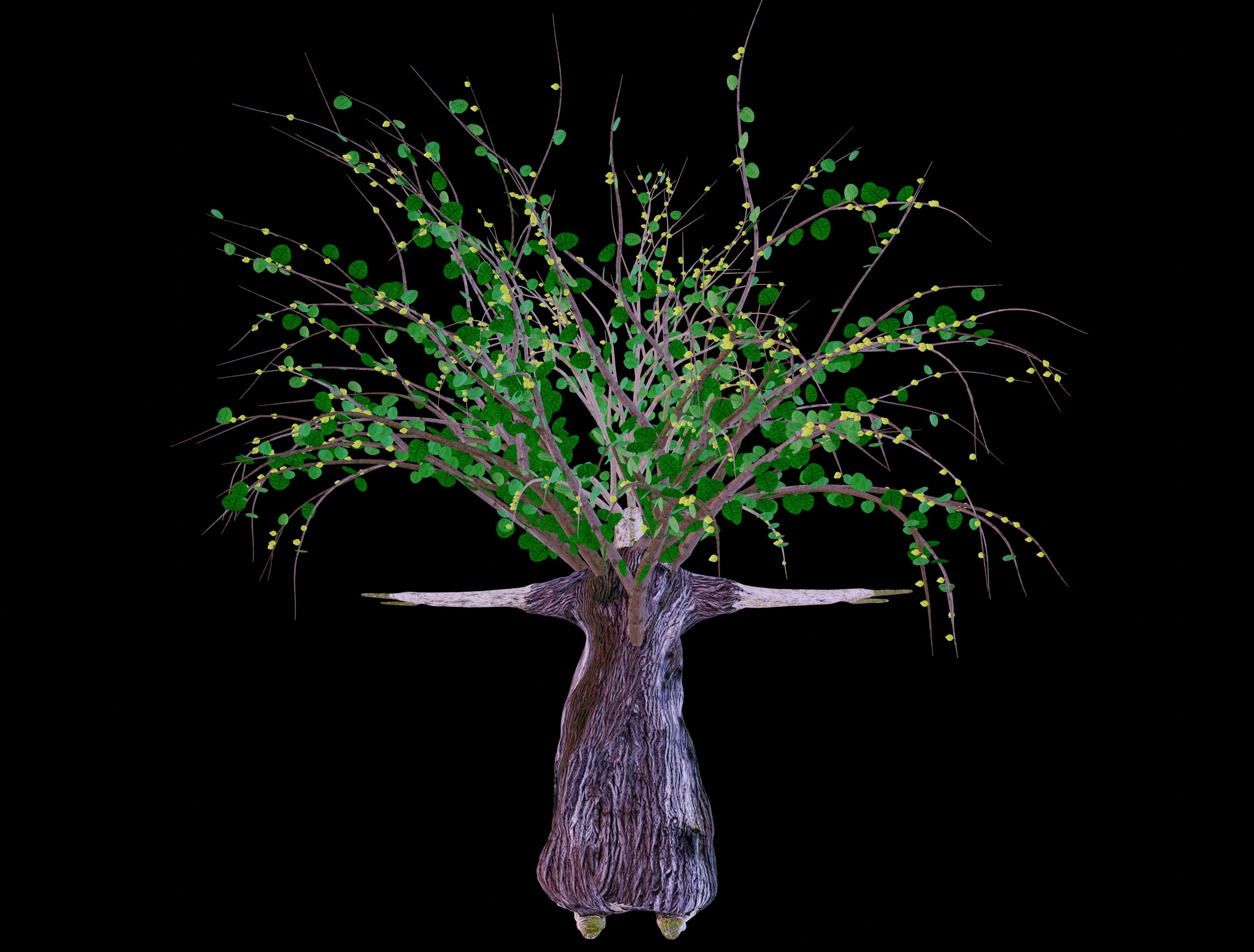 Ent - Drzewiec Low-poly 3D model_7