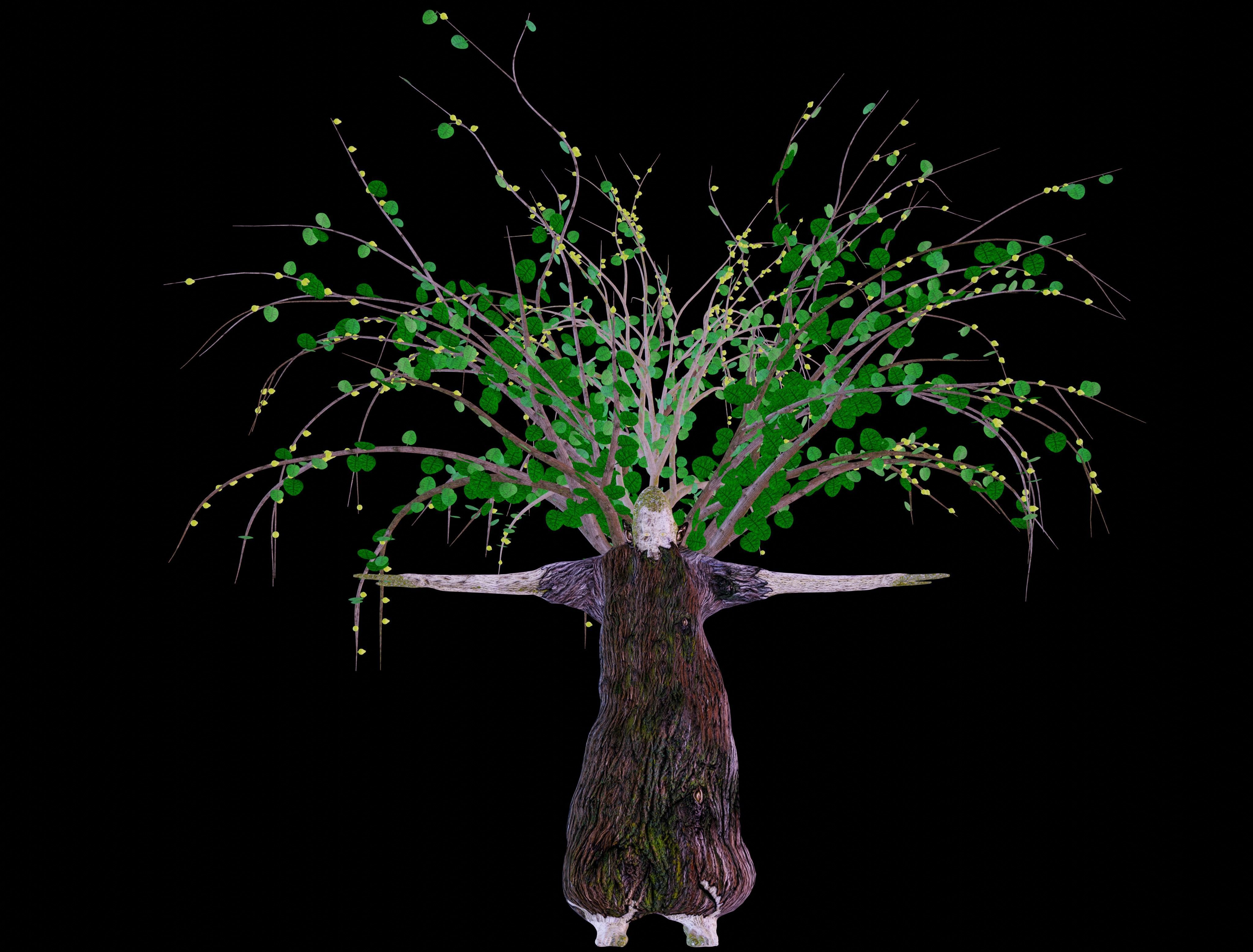 Ent - Drzewiec Low-poly 3D model_6