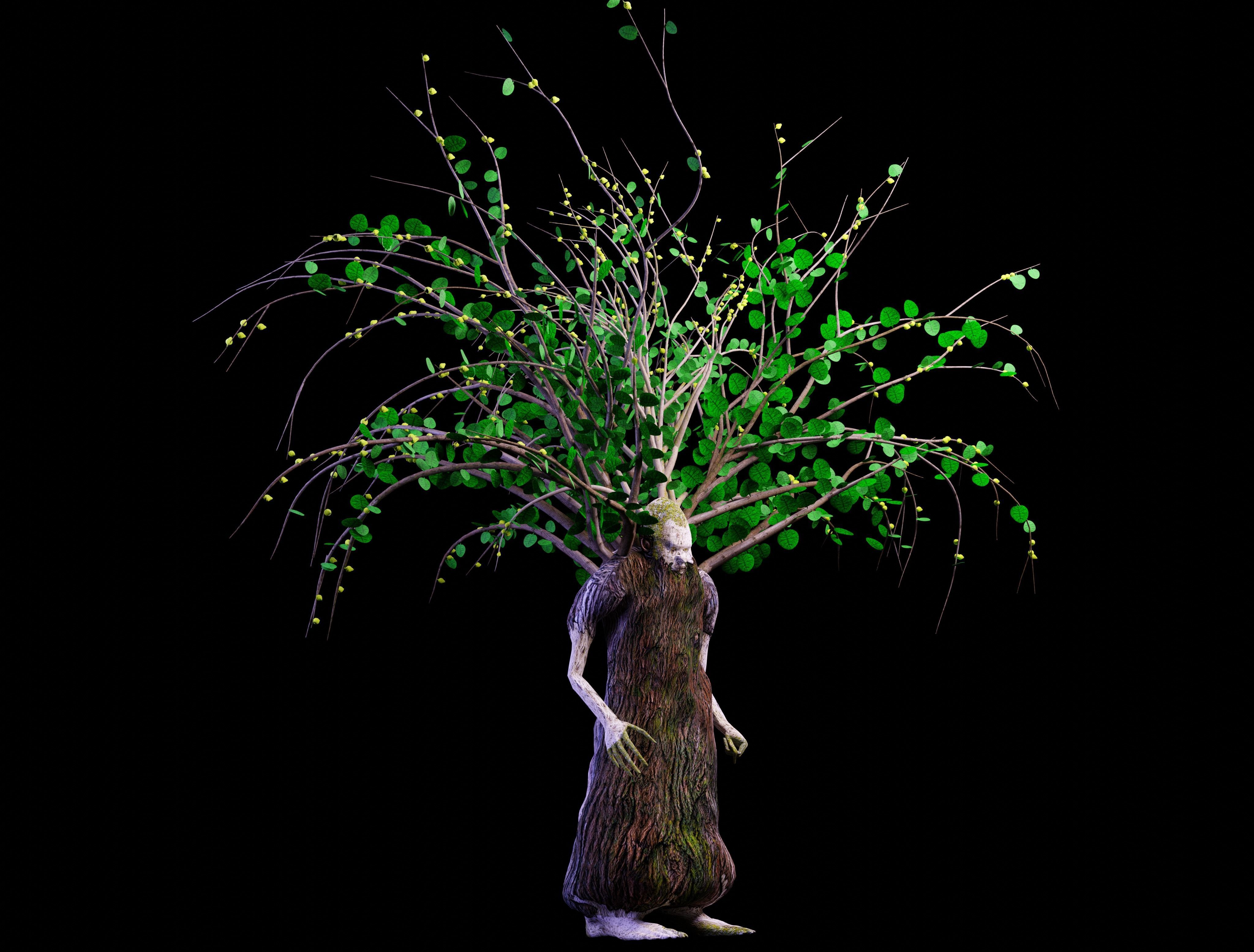 Ent - Drzewiec Low-poly 3D model_4