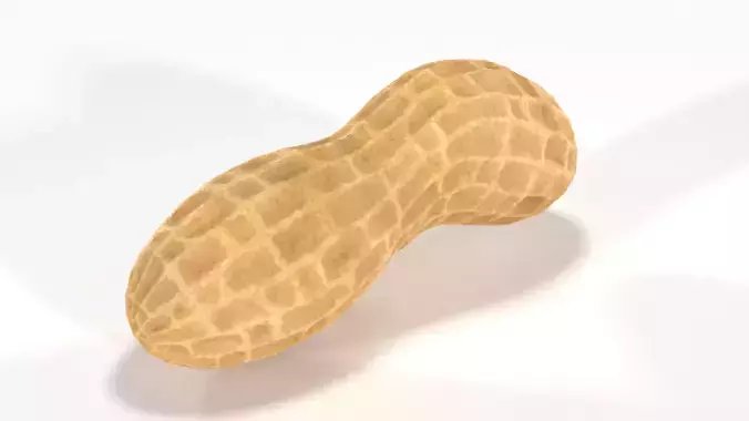 Peanut 3D
