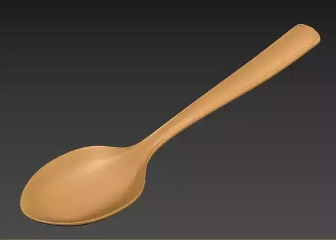 Wooden Spoon