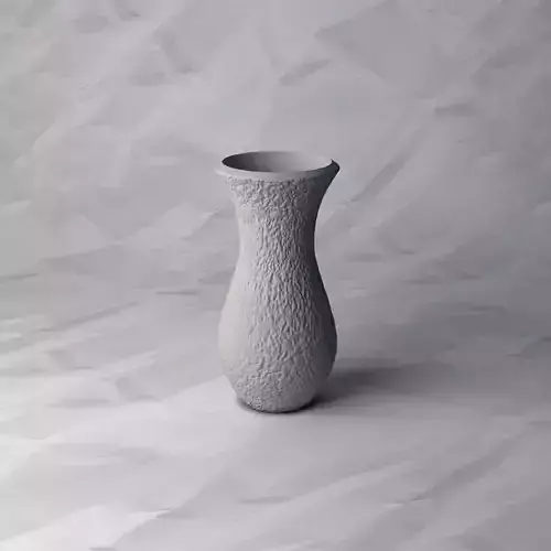 VASE 204