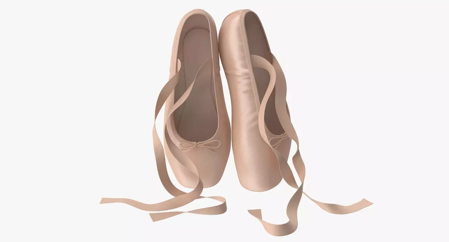 Ballet Shoes - Resting Low-poly 3D model_0
