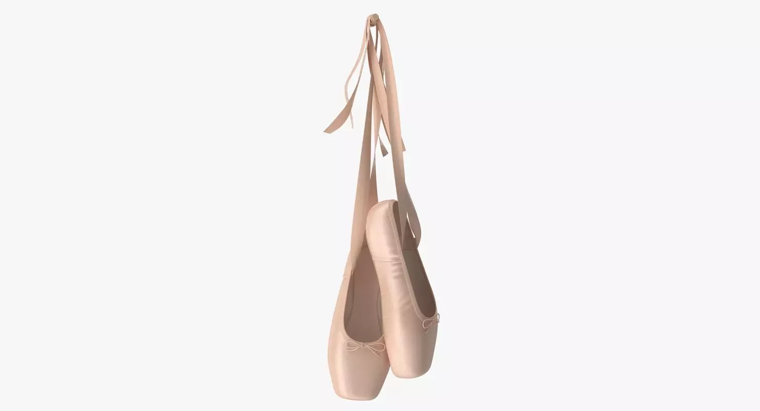 Ballet Shoes - Hanging Low-poly 3D model_0
