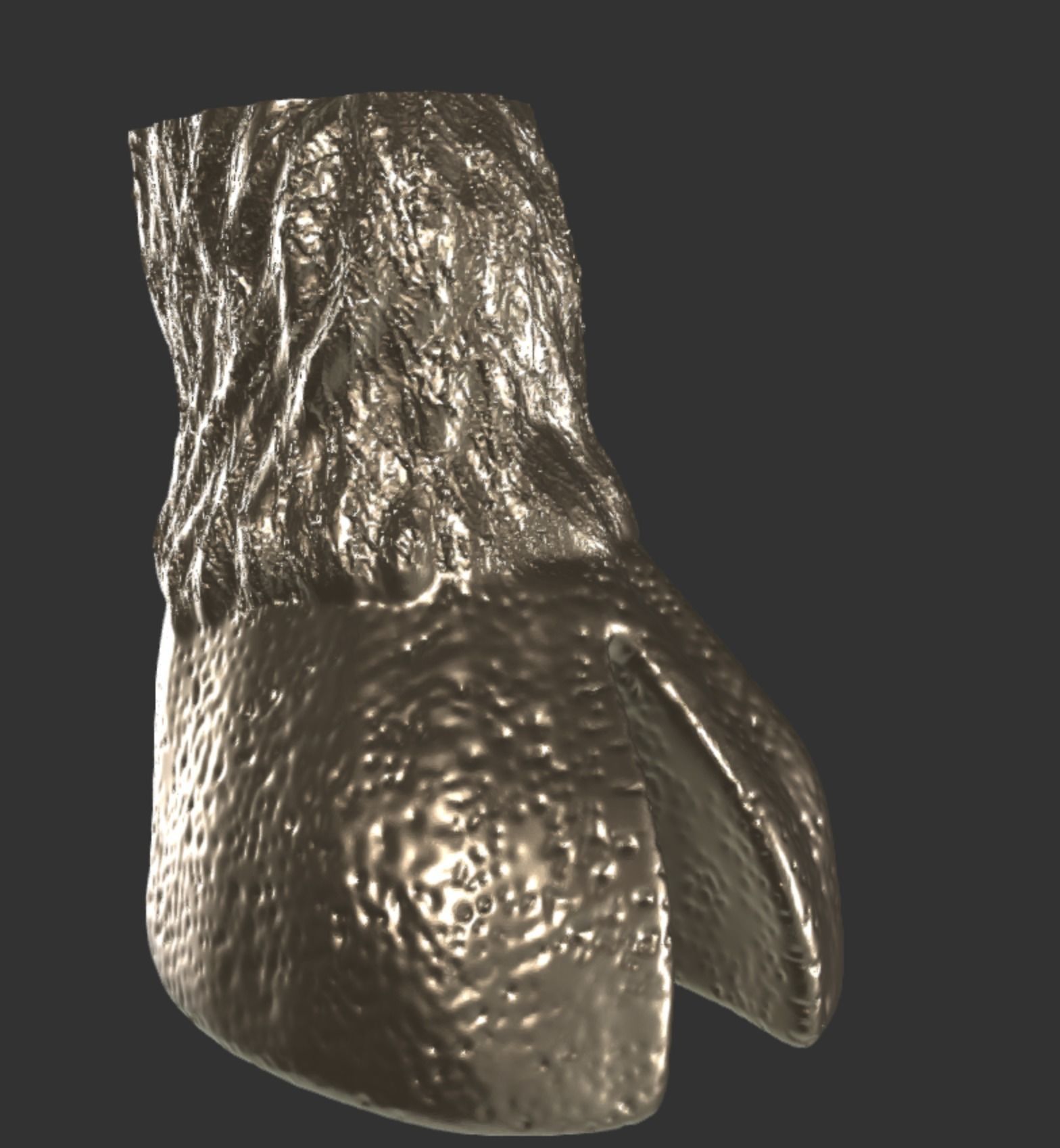 Hoof Shoes Wearable 3D print model_5