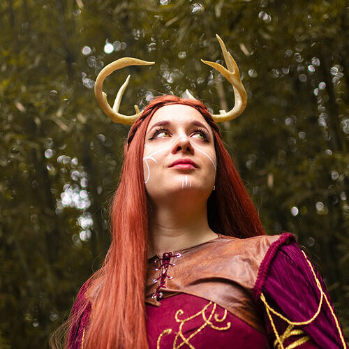 Druid Horns Headband 3D print model