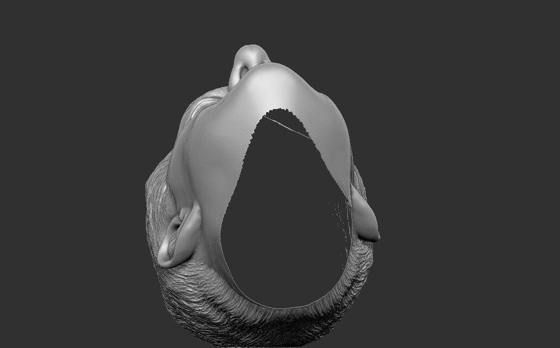 Bill Clinton 3D model_37