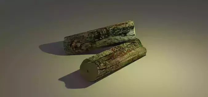 Log lowpoly model two pieces of wood on table