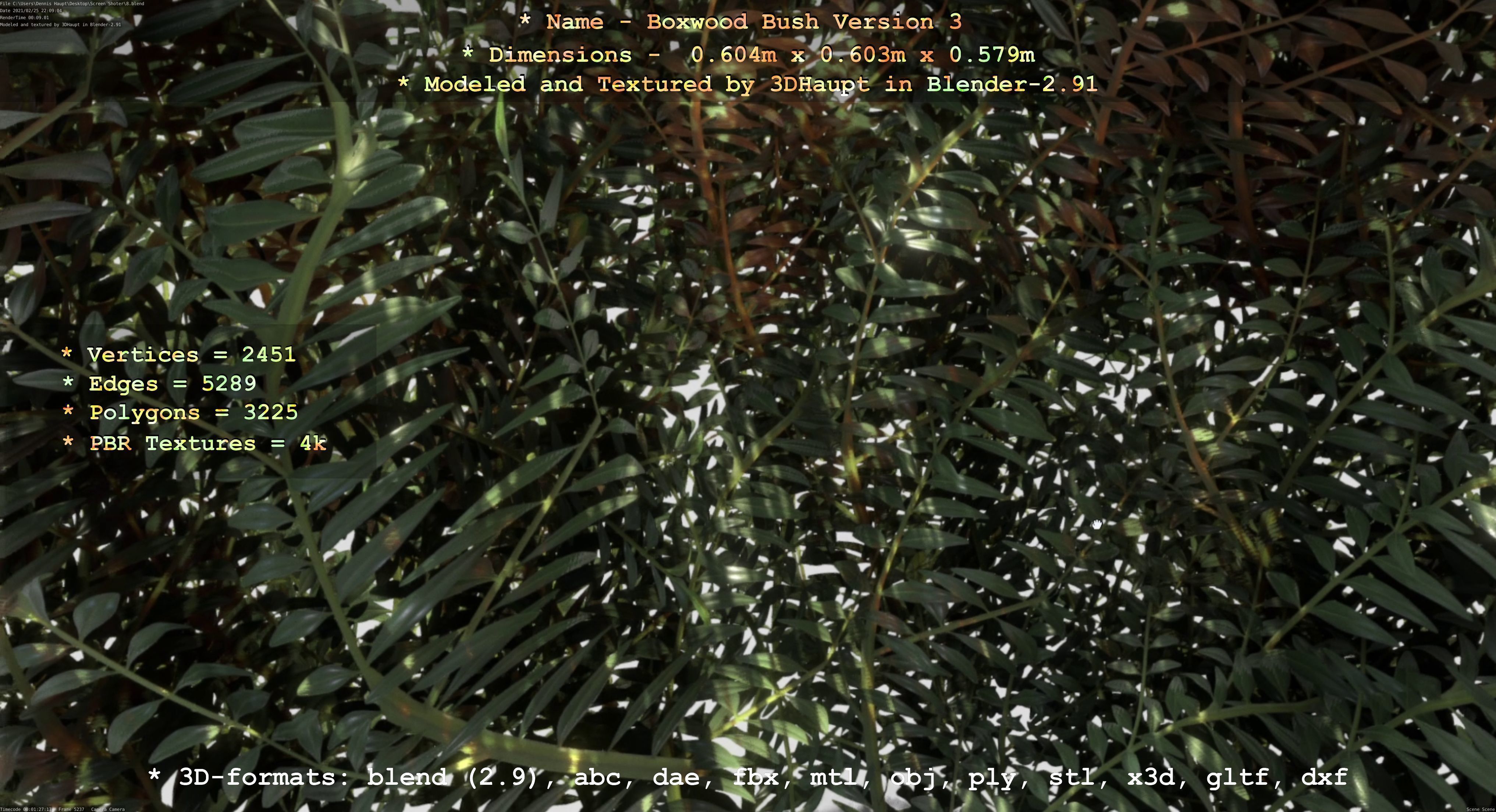 Low-Poly Boxwood Bush Version 3 Low-poly 3D model_18