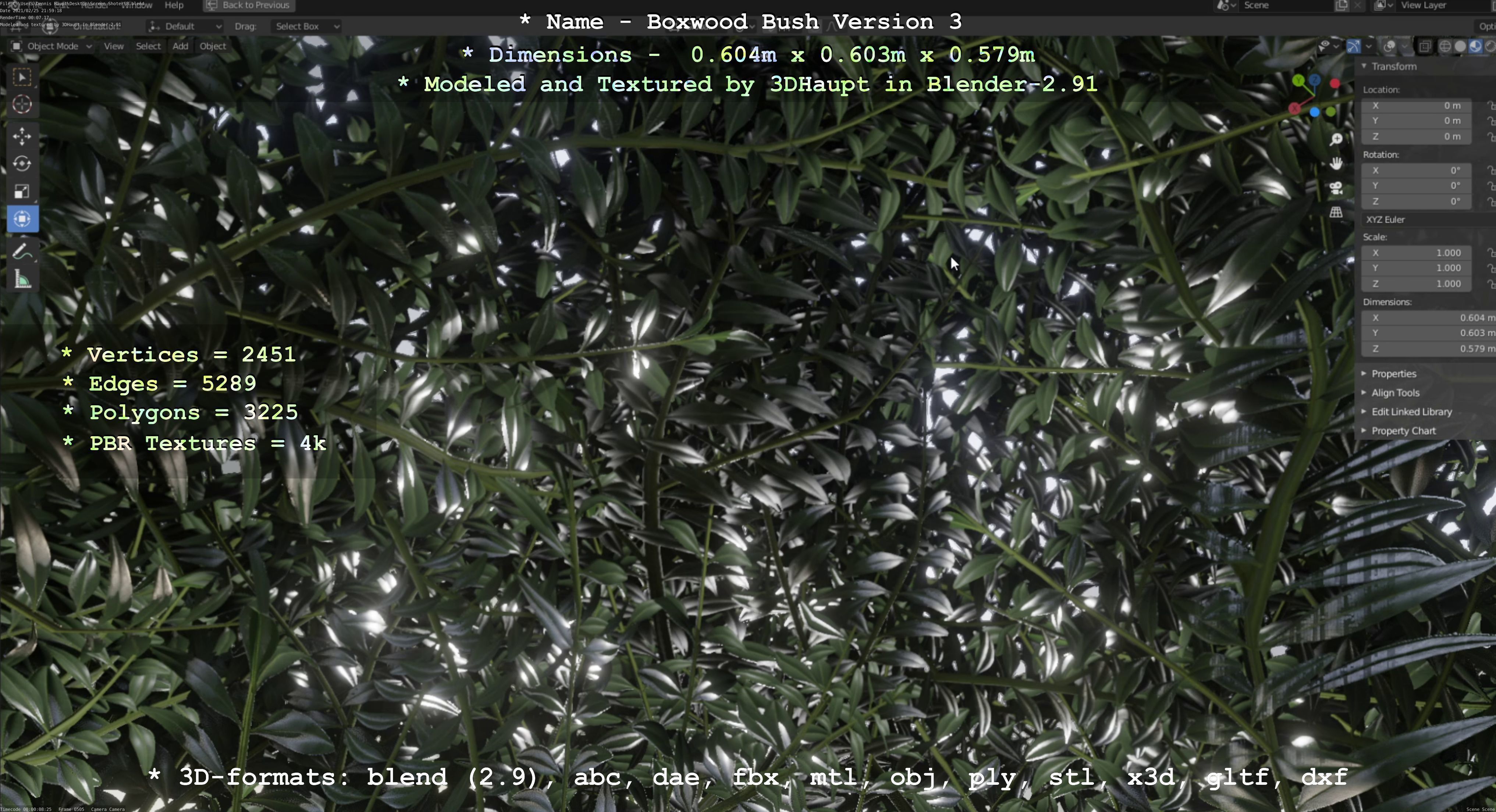 Low-Poly Boxwood Bush Version 3 Low-poly 3D model_88