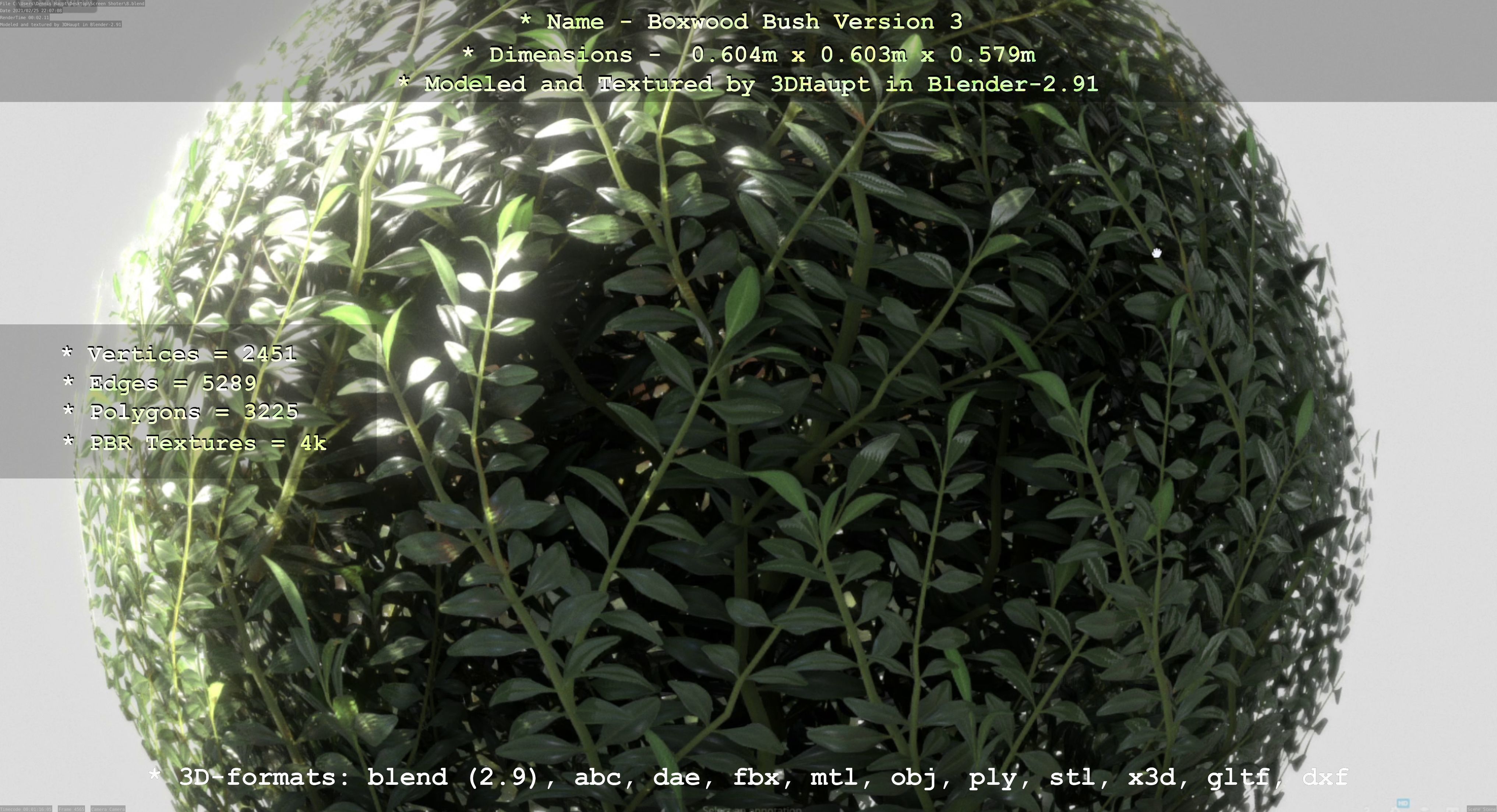 Low-Poly Boxwood Bush Version 3 Low-poly 3D model_50