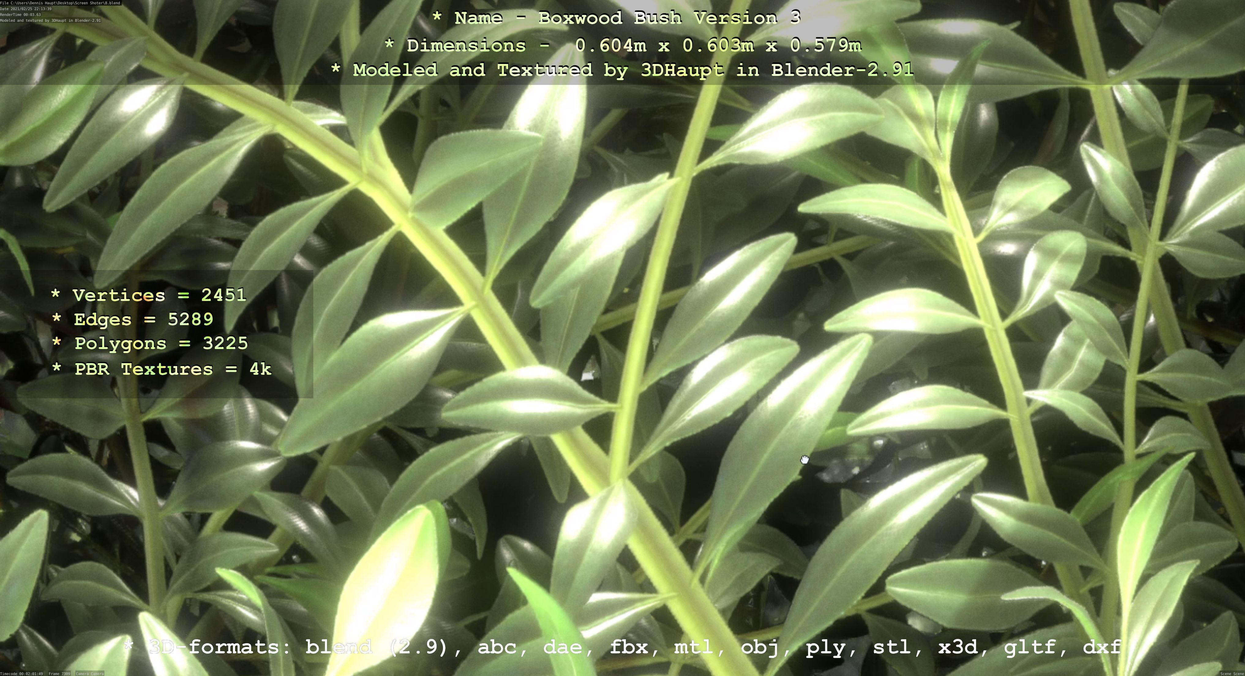 Low-Poly Boxwood Bush Version 3 Low-poly 3D model_71