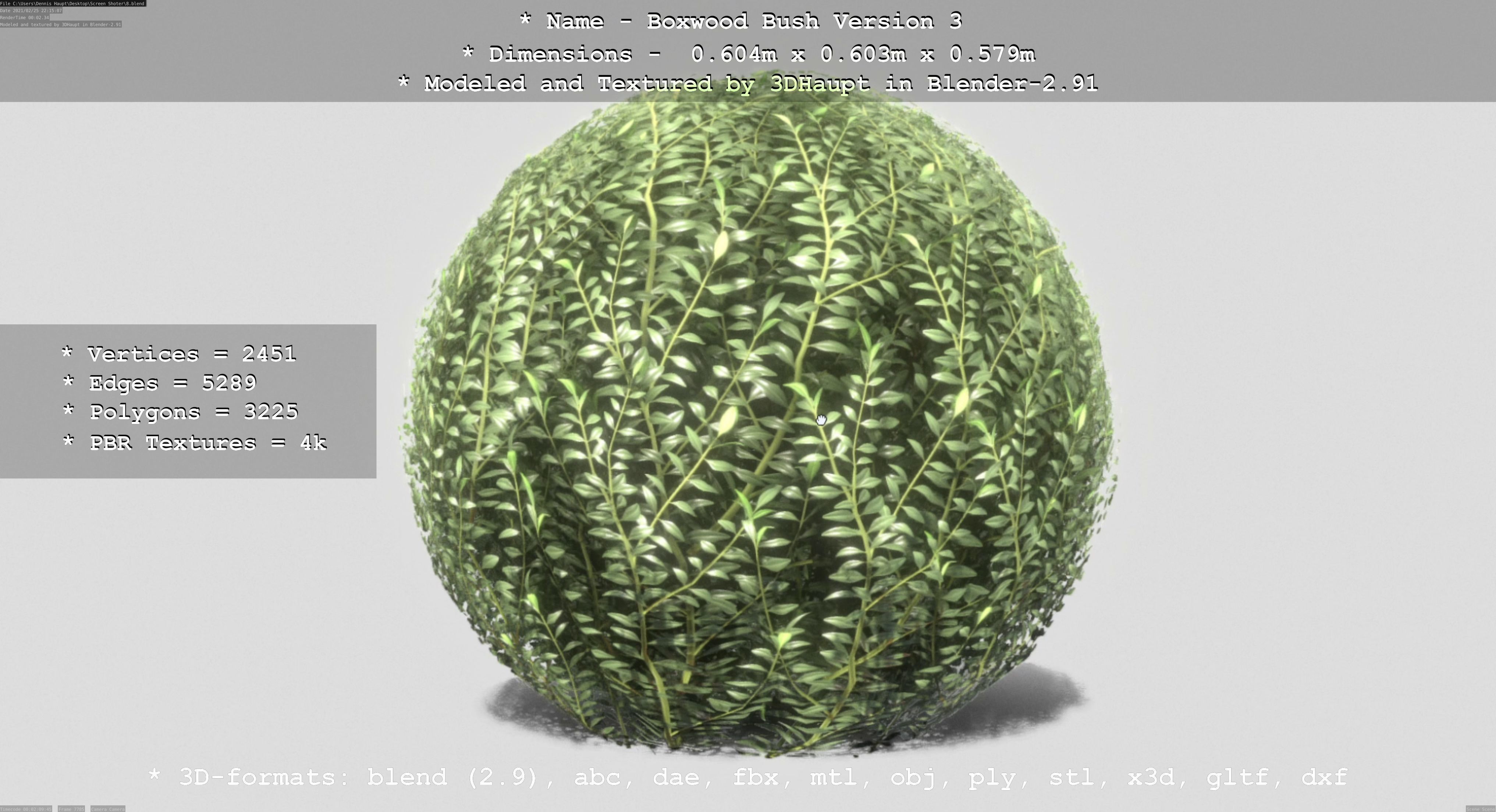 Low-Poly Boxwood Bush Version 3 Low-poly 3D model_77