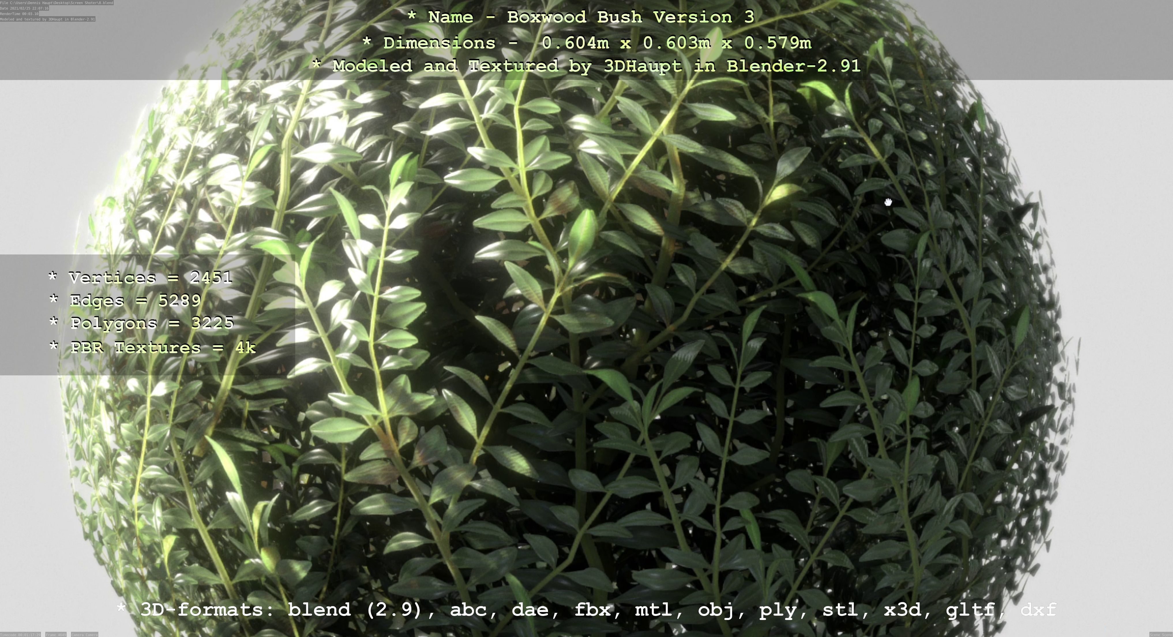 Low-Poly Boxwood Bush Version 3 Low-poly 3D model_51