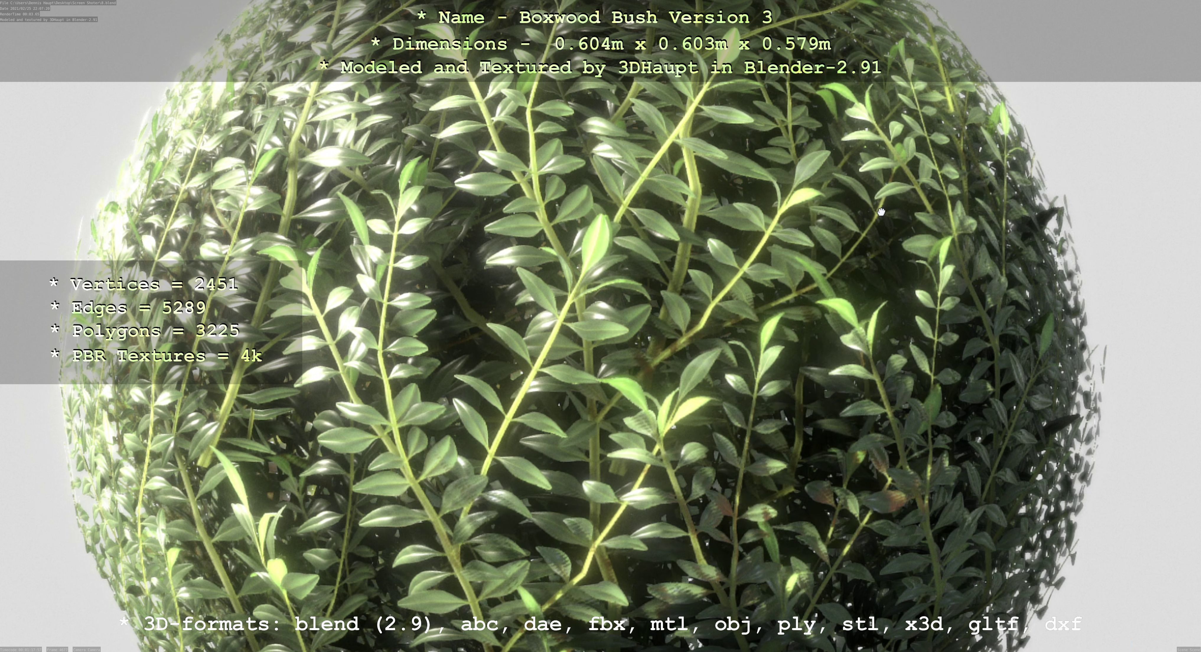 Low-Poly Boxwood Bush Version 3 Low-poly 3D model_131