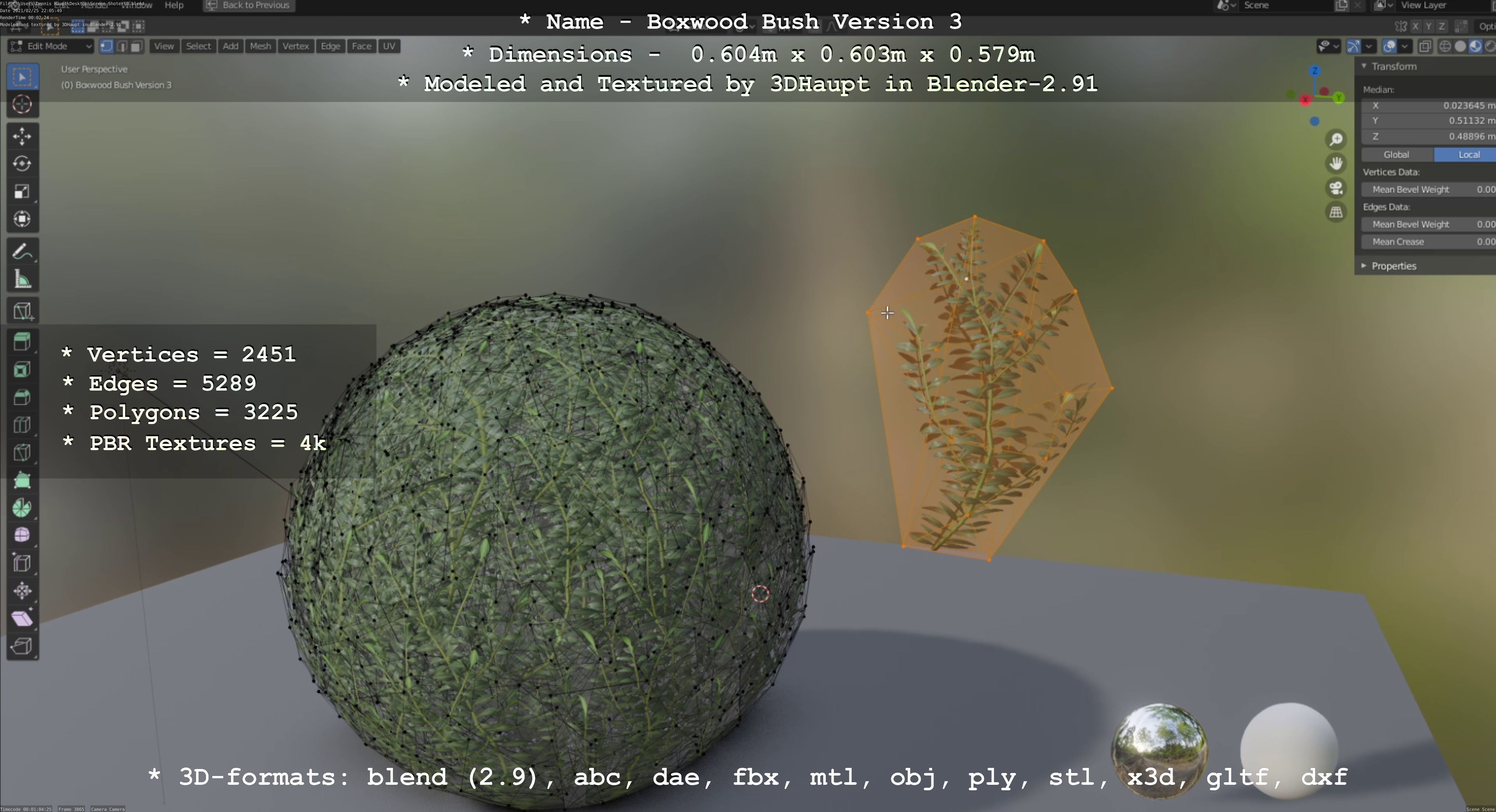 Low-Poly Boxwood Bush Version 3 Low-poly 3D model_136