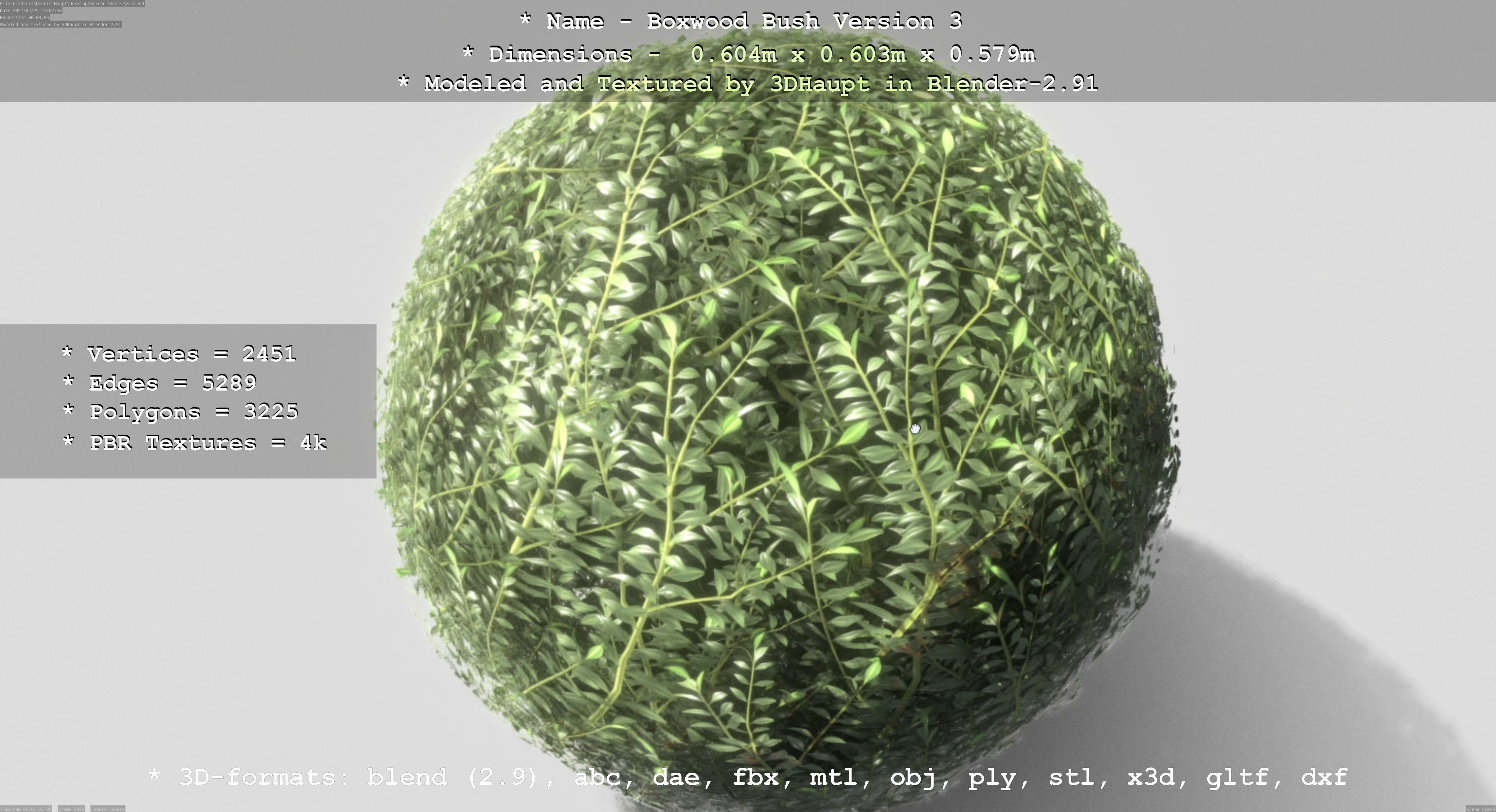 Low-Poly Boxwood Bush Version 3 Low-poly 3D model_56