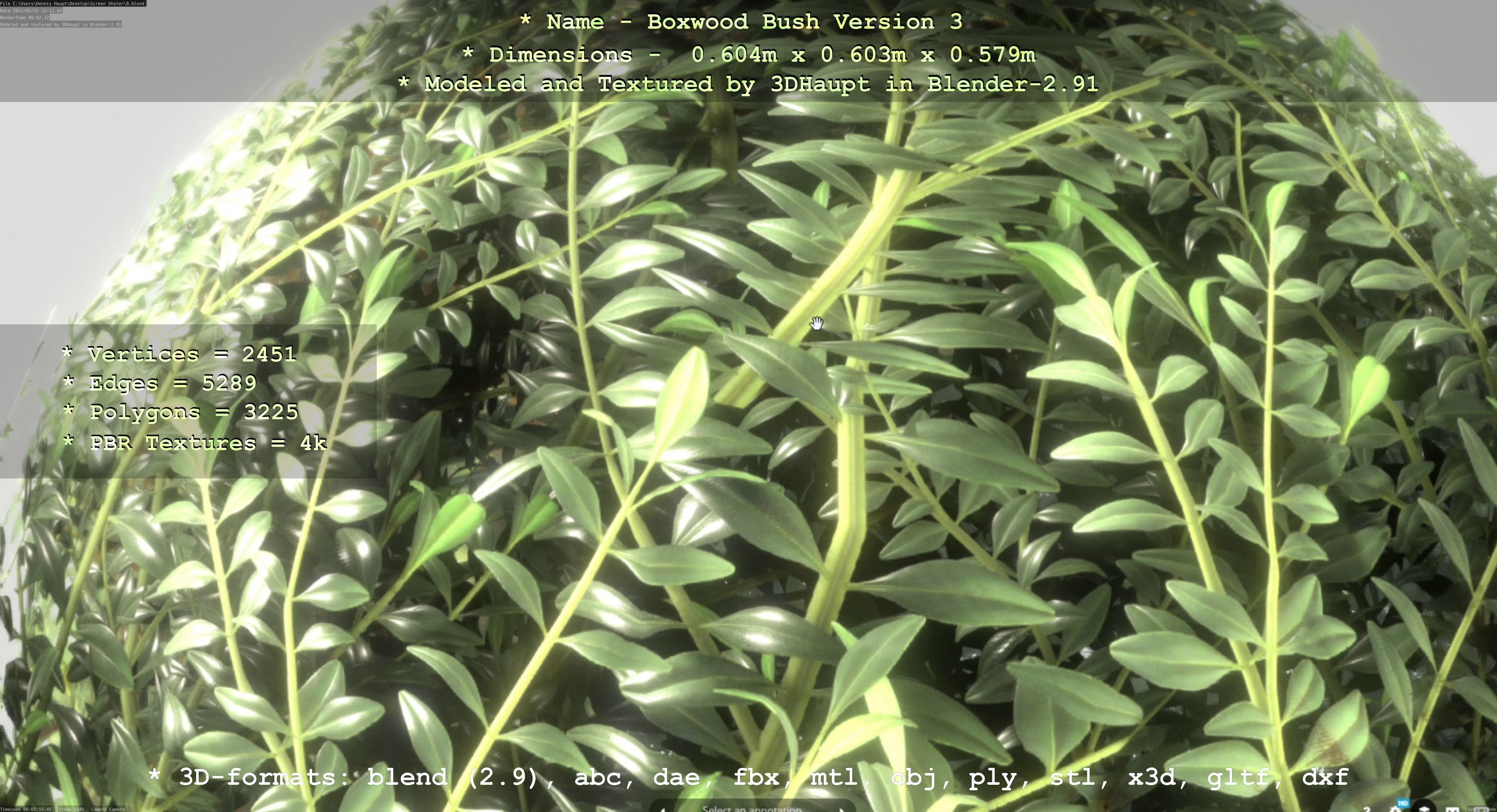 Low-Poly Boxwood Bush Version 3 Low-poly 3D model_64