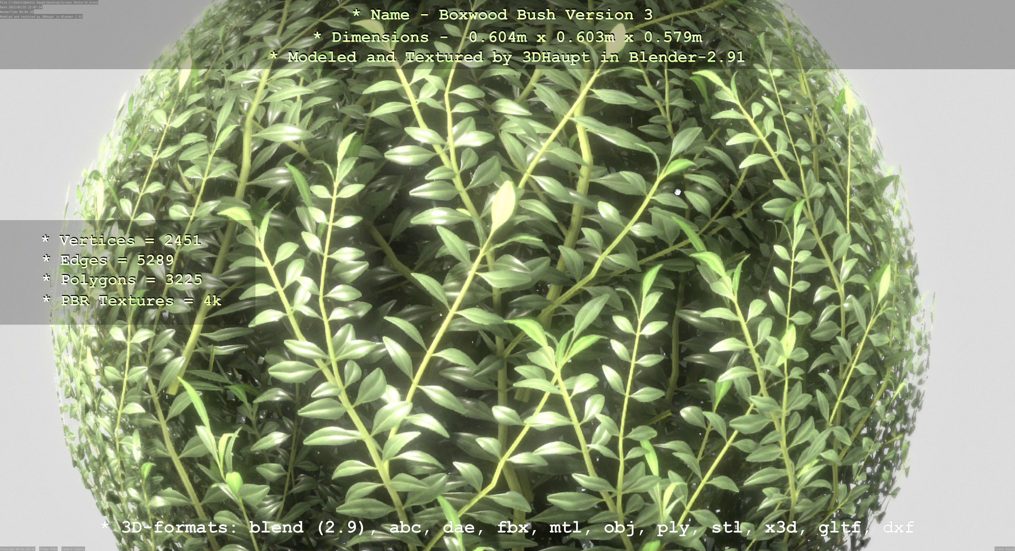 Low-Poly Boxwood Bush Version 3 Low-poly 3D model_52