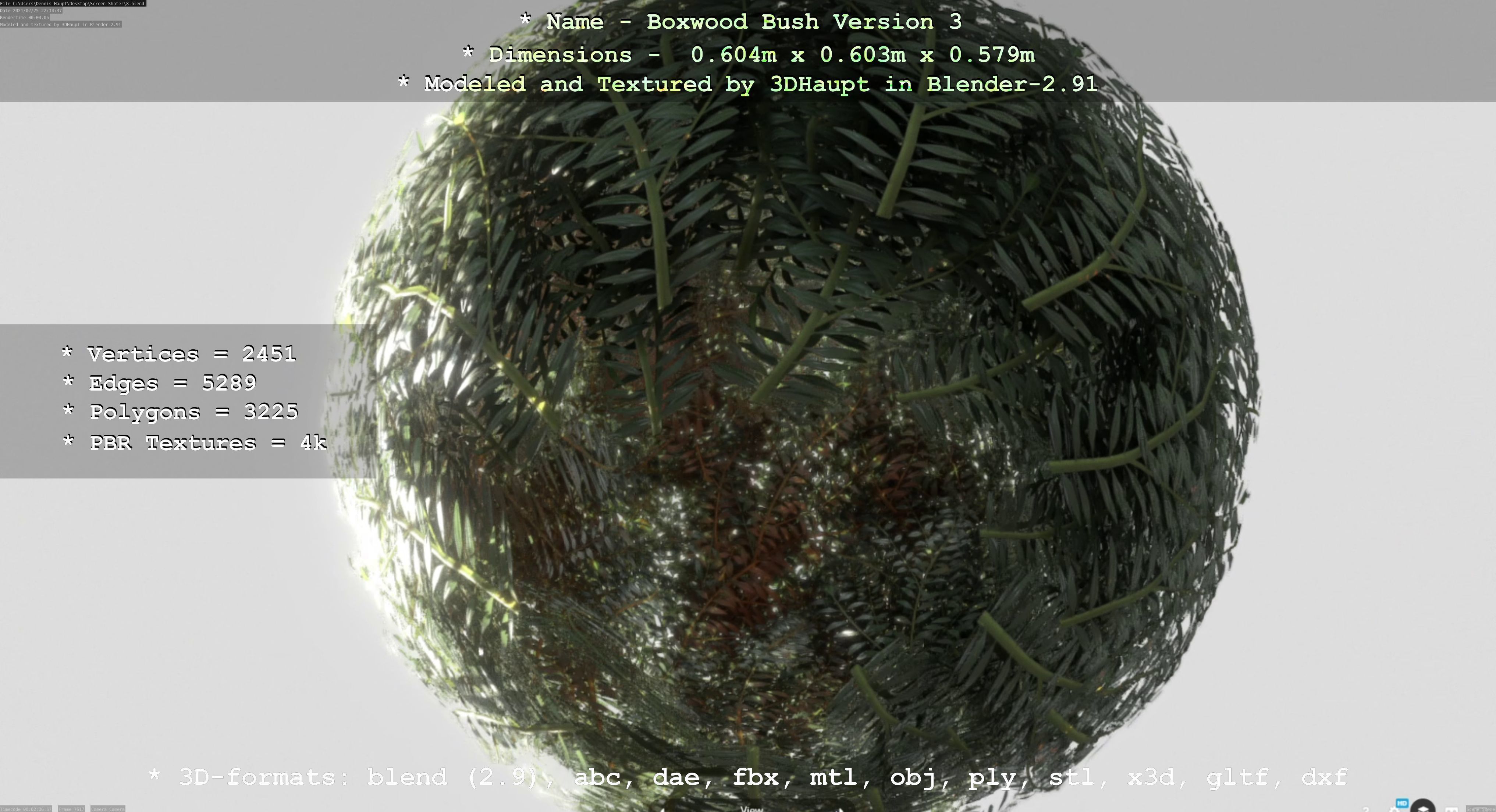 Low-Poly Boxwood Bush Version 3 Low-poly 3D model_74